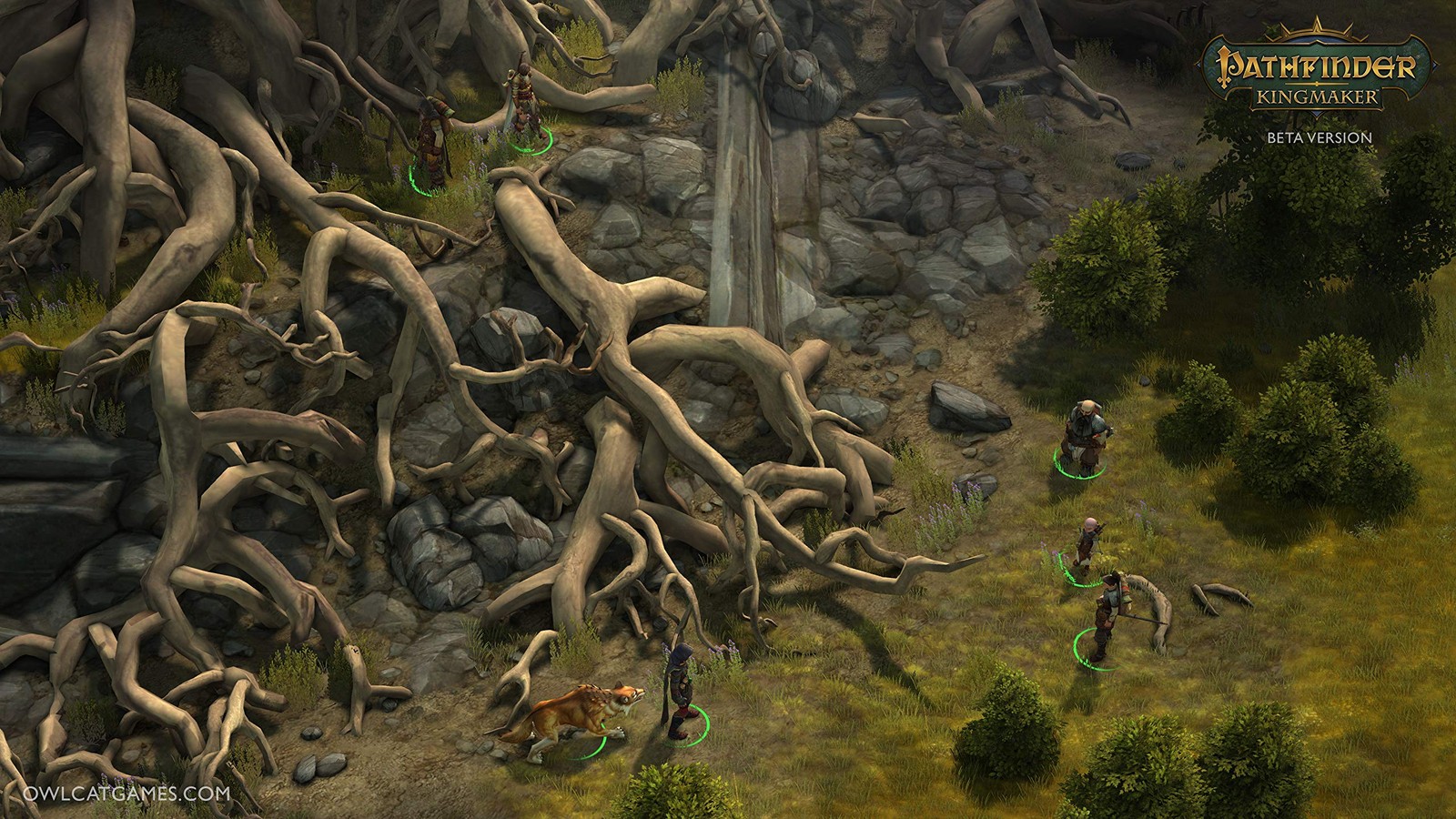 Pathfinder: Kingmaker – Definitive Edition – PlayStation 4