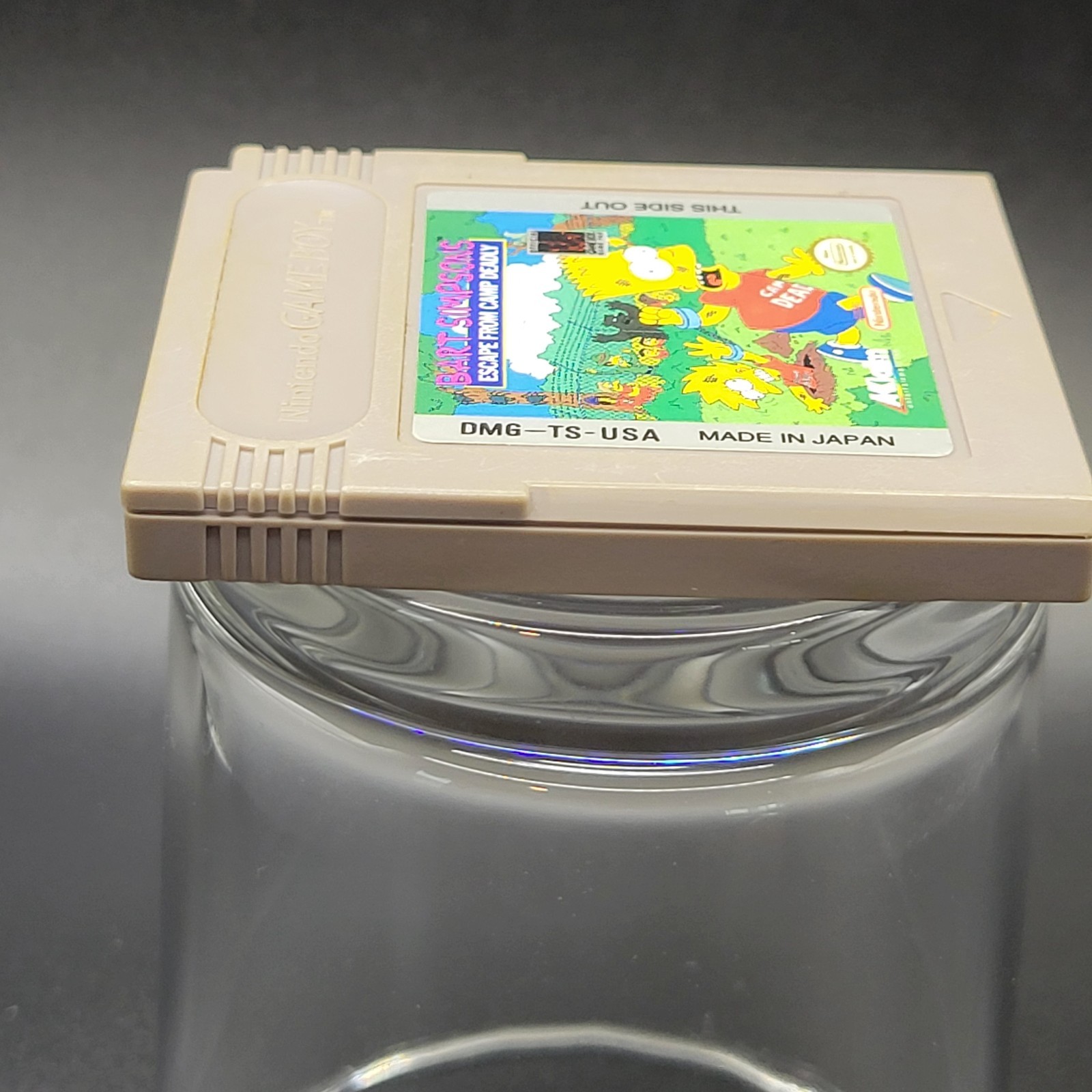 Bart Simpson’s Escape From Camp Deadly (Nintendo Game Boy)