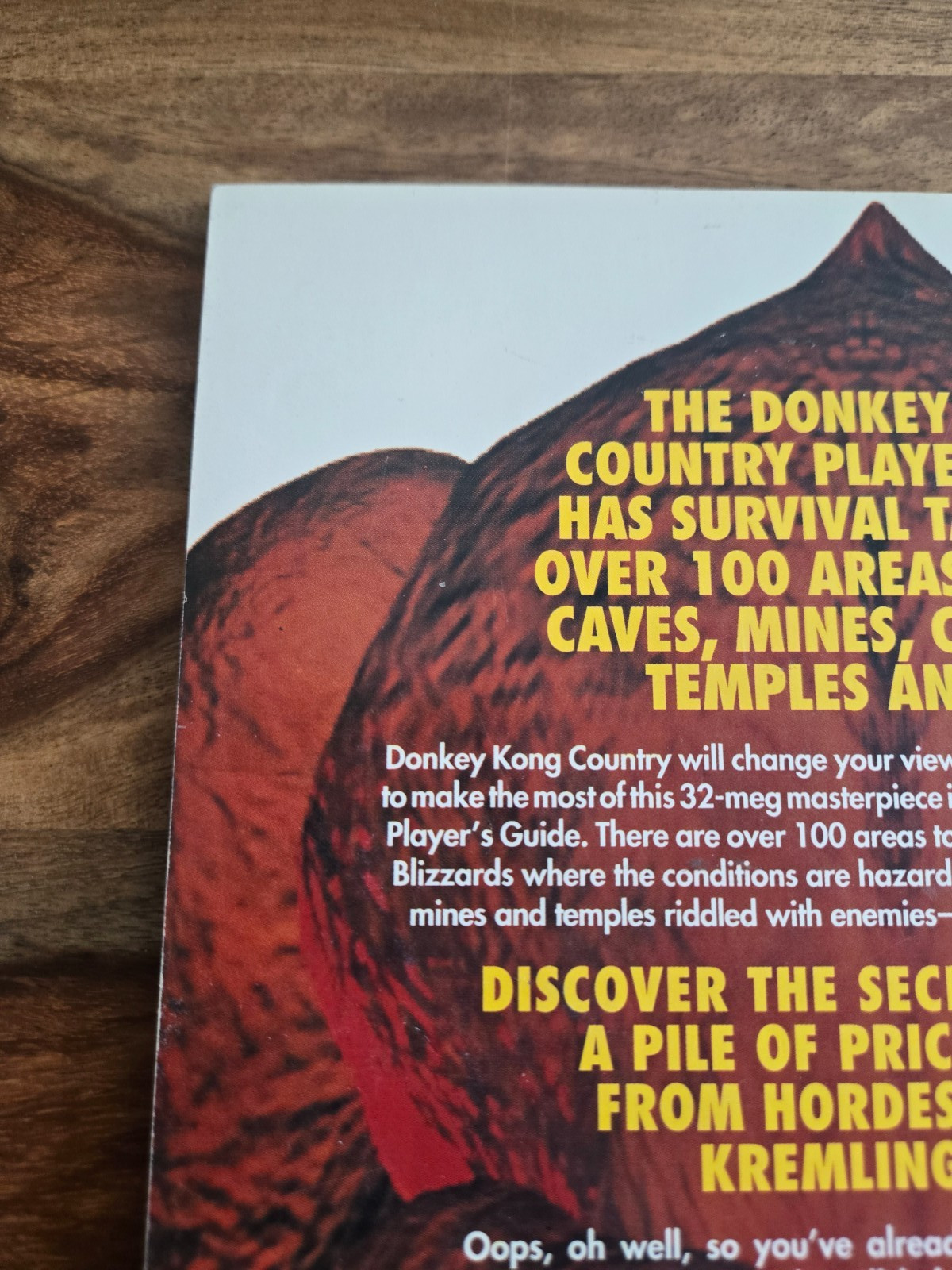 Donkey Kong Country Nintendo Player’s Guide SNES Official Nintendo 1994
