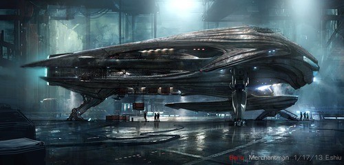Star Citizen Merchantman LTI Lifetime Insurance CCUd – Space Vendor