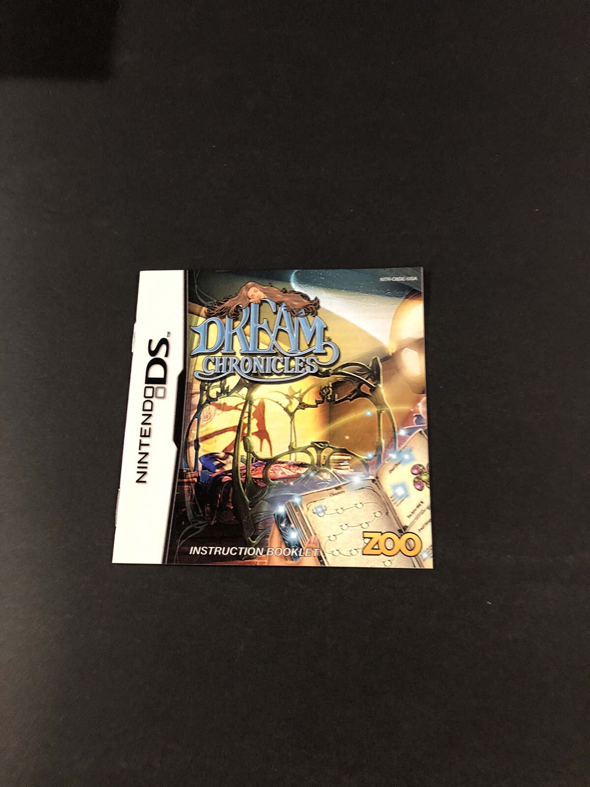 Dream chronicles ds Nintendo Manual Only