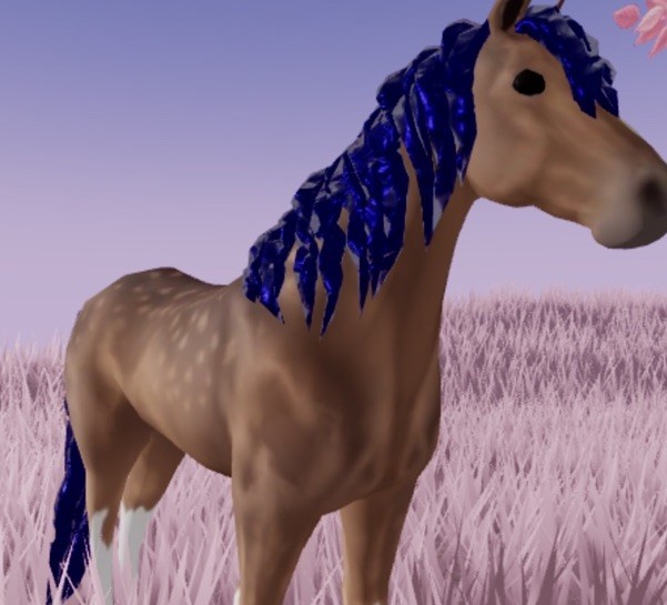 Wild Horse Islands 🌸 IUH Rc Sapphire Pal Dapple Sapphire Morgan 🌸