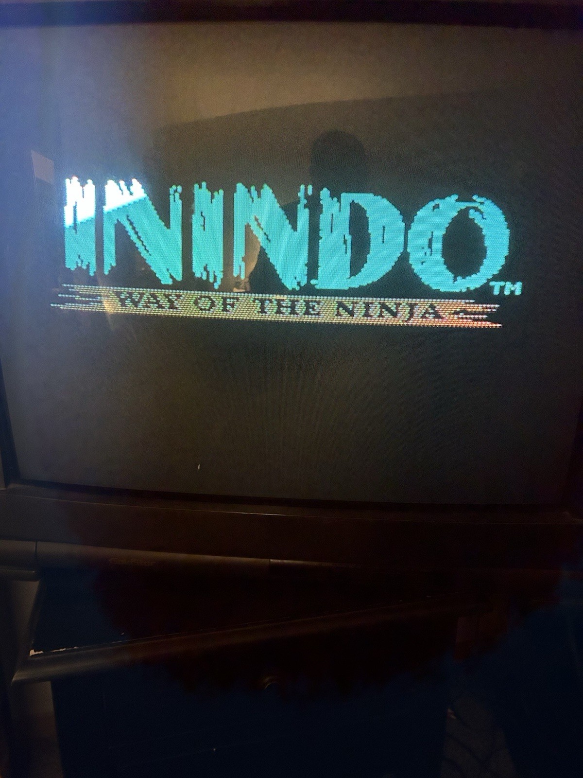 Inindo: The Way of the Ninja Tested (SNES 1993) With Protective Case