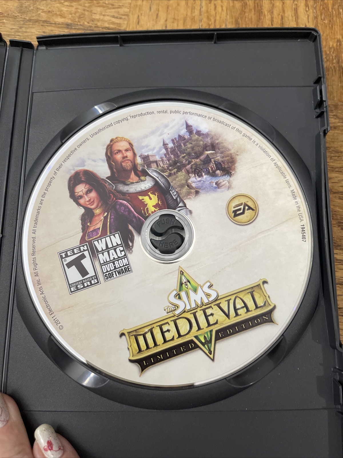 The Sims Medieval PC Game