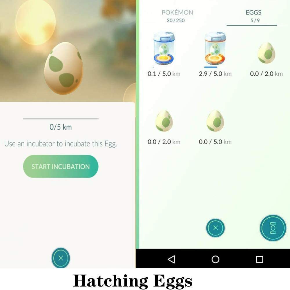 POKEMON GO Egg Hatching Phone Swing
