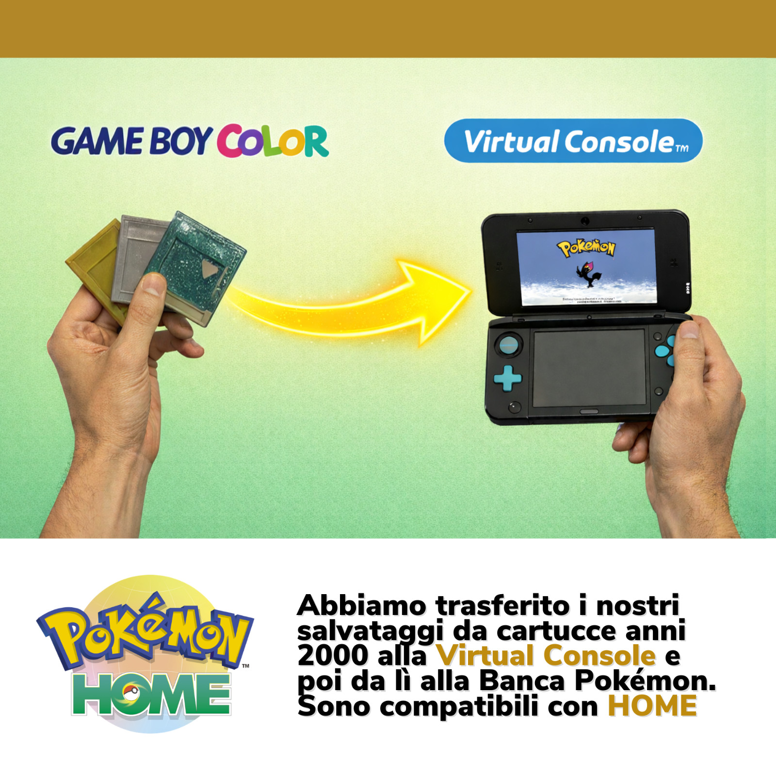 Pokemon HOME Gold Silver Legit 2000s Shiny Living Dex Pokedex Complete Johto