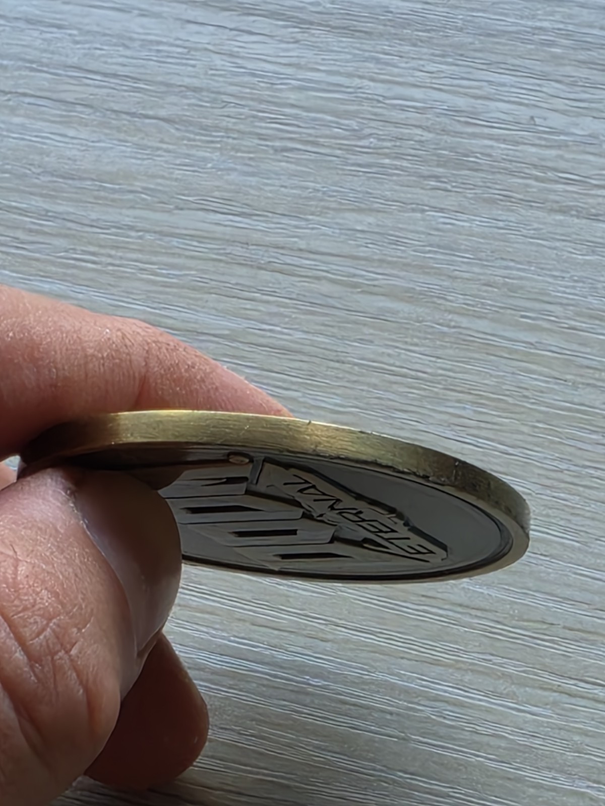 DOOM Eternal Maykr Challenge Coin Medal Rare Bethesda Gear Store #101 Of 500