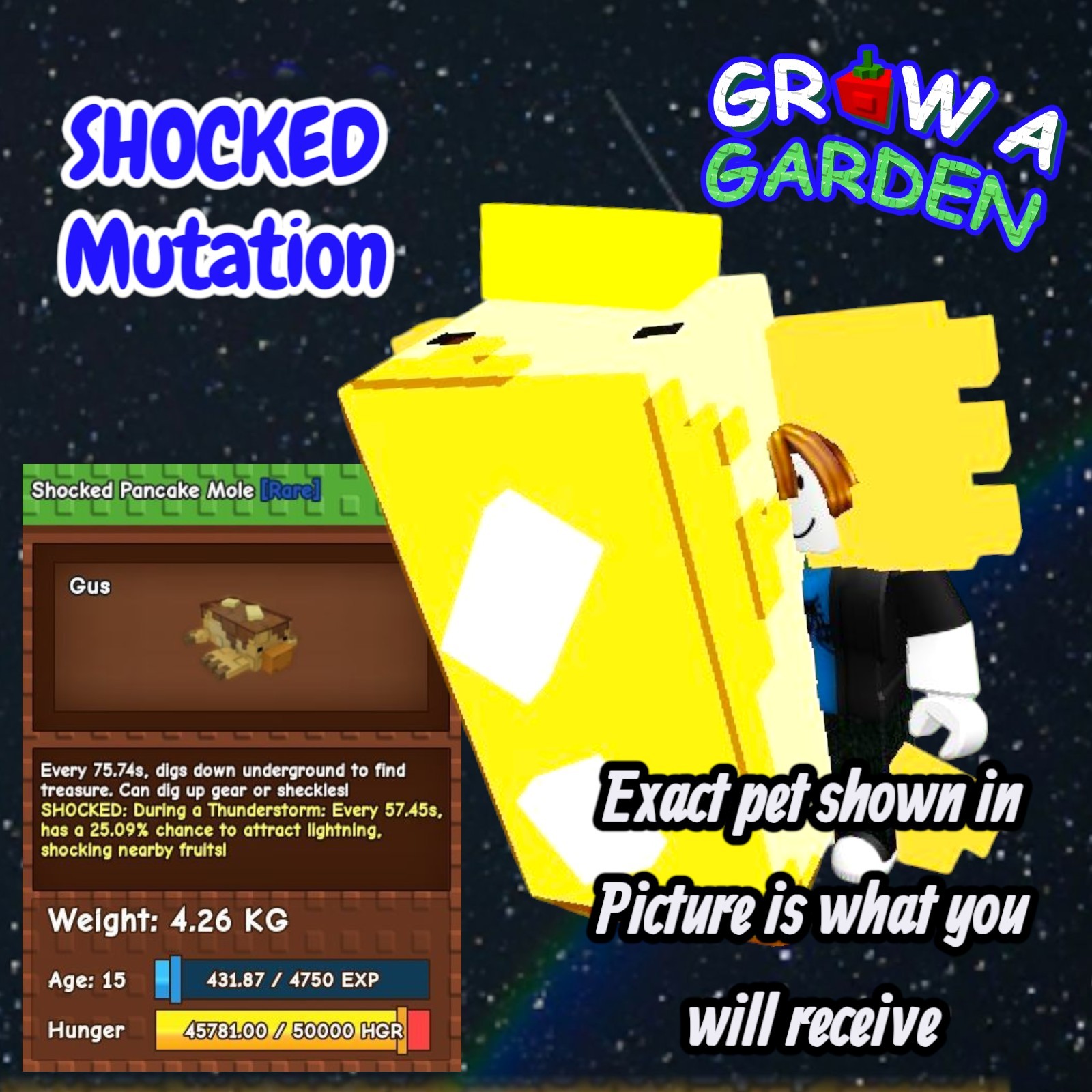 SHOCKED Pancake Mole Pet. Age/Weight Shown In Photo. Grow A Garden. Same Day