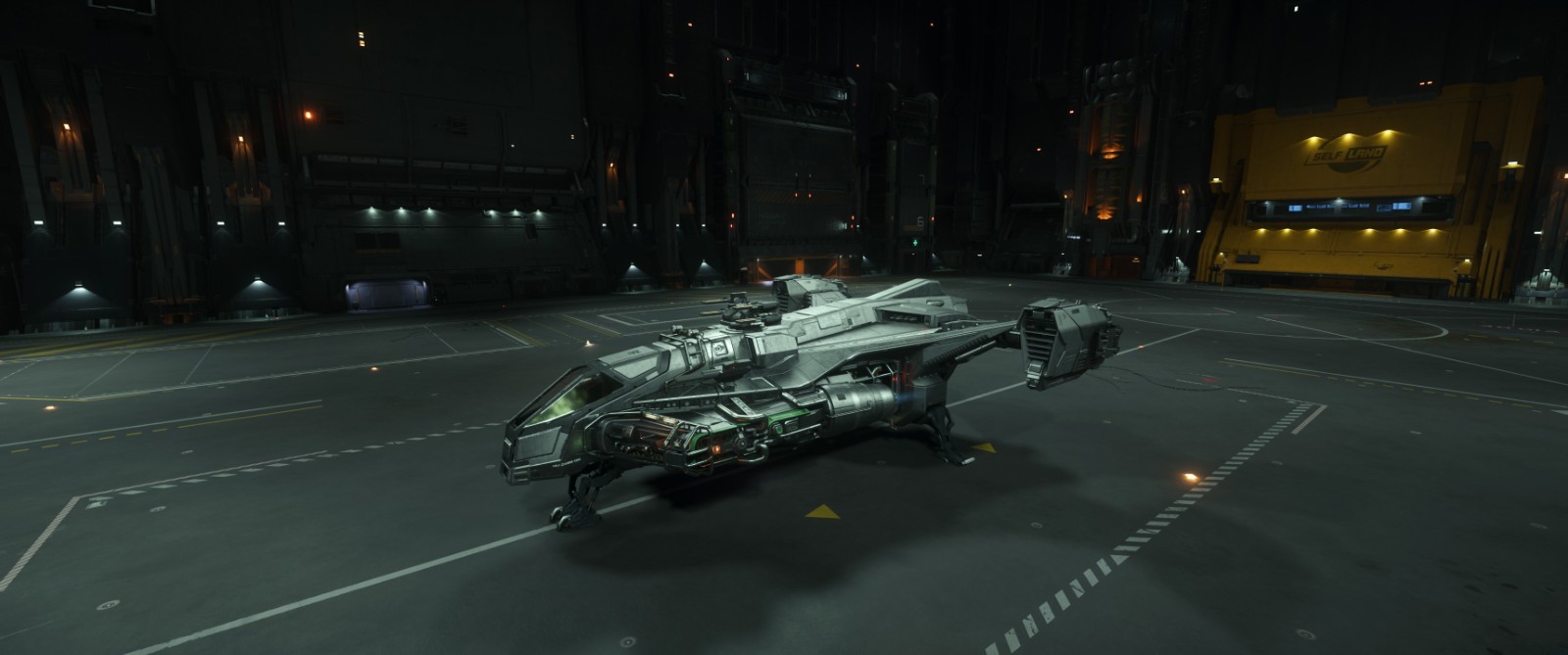STAR CITIZEN – GREY SHIV – ORIGINAL CONCEPT – LTI + 2 x EXCLUSIVE PAINTS
