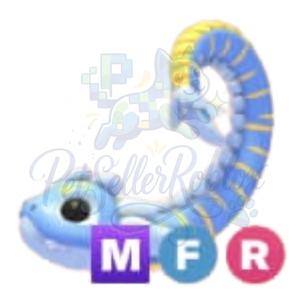 Tealwood Monster | Rainbow Trout | NFR | MFR | Adopt Now