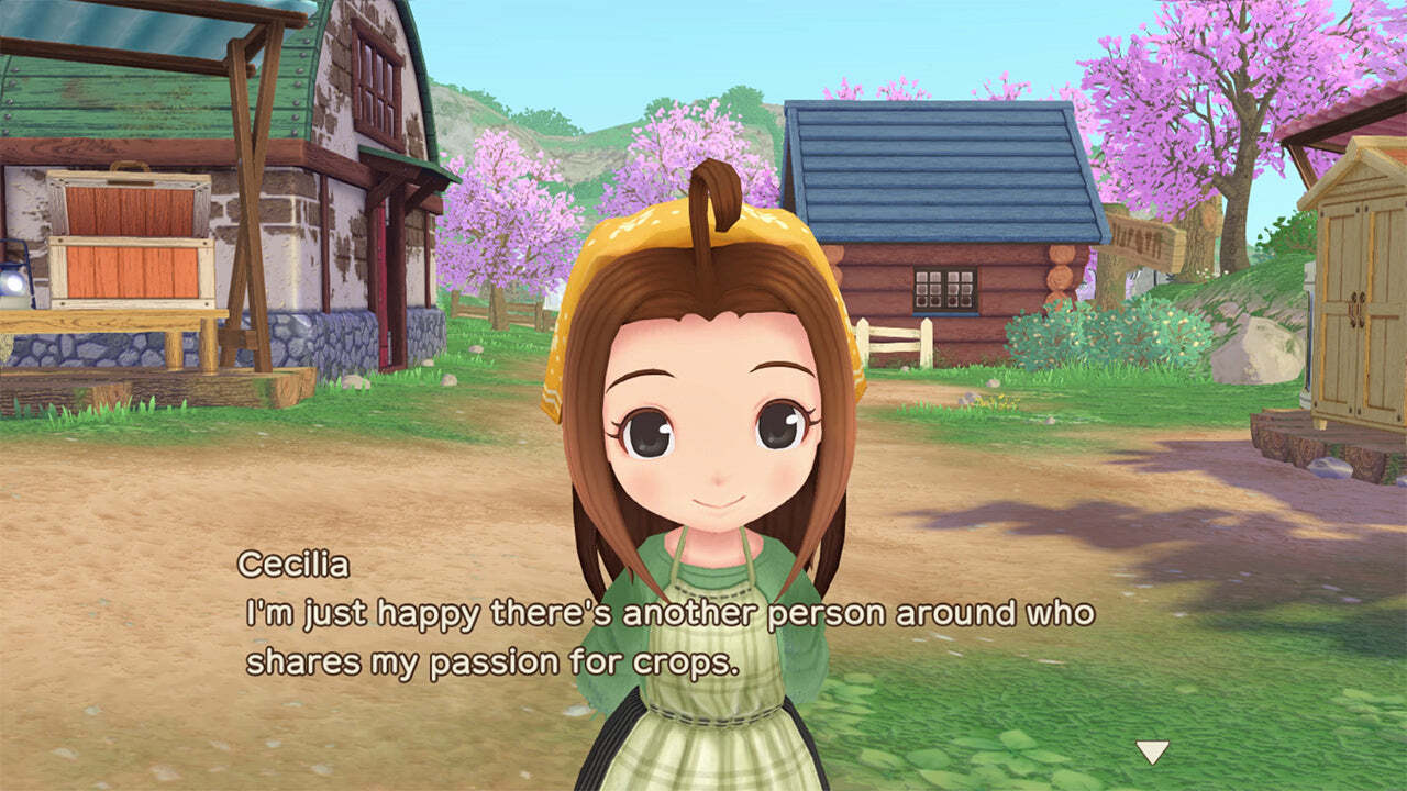 STORY OF SEASONS A WONDERFUL LIFE PREMIUM EDITION – PS5