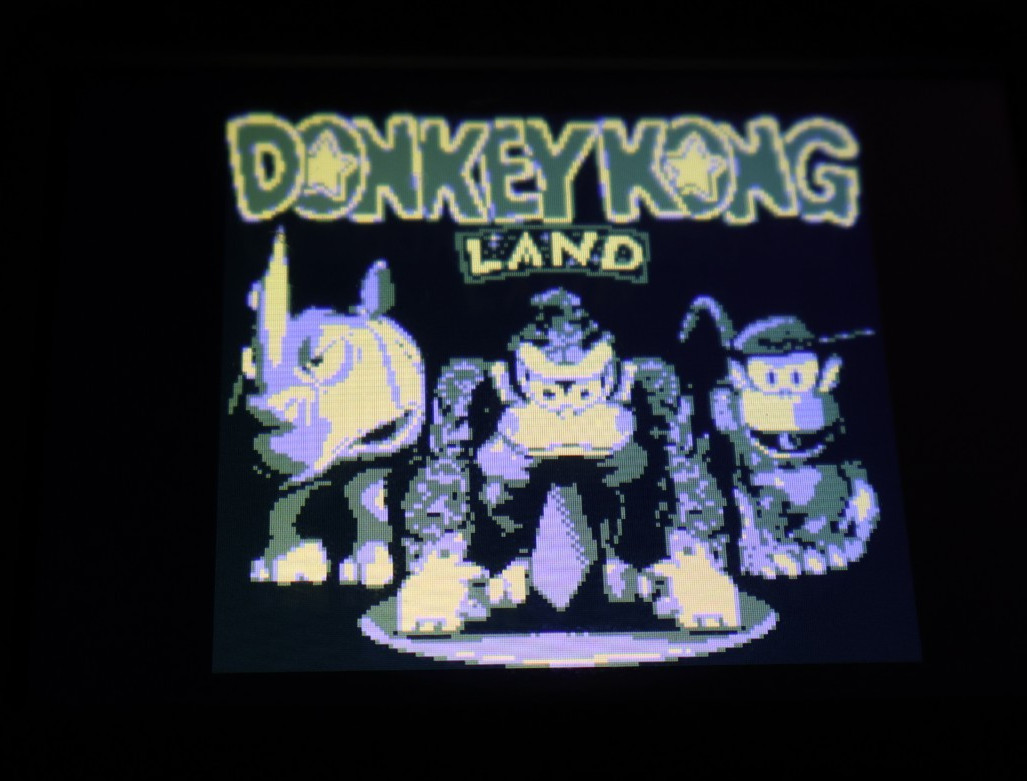 Donkey Kong Land (Nintendo Game Boy Color, 1995) GBC New Battery Tested