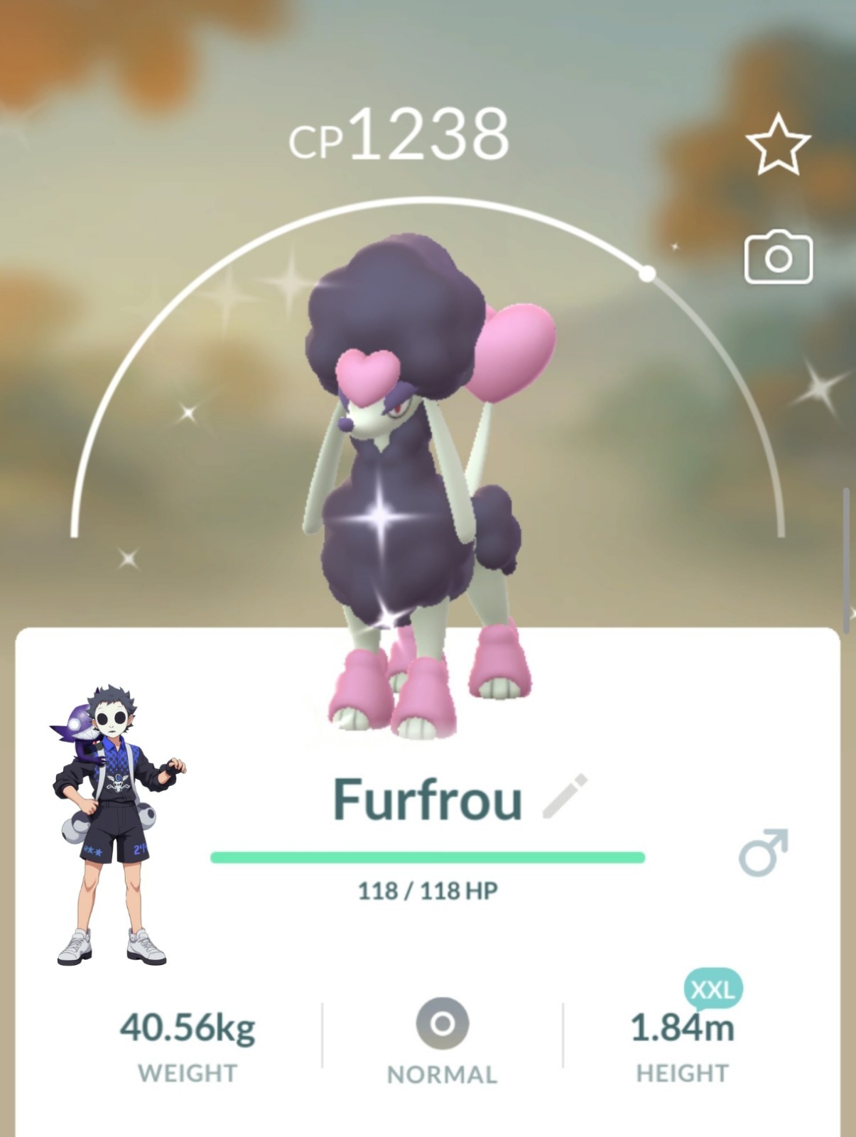 Shiny Furfou Heart Trim XXL Pokemon Go T- 20k Or 1M Stardust