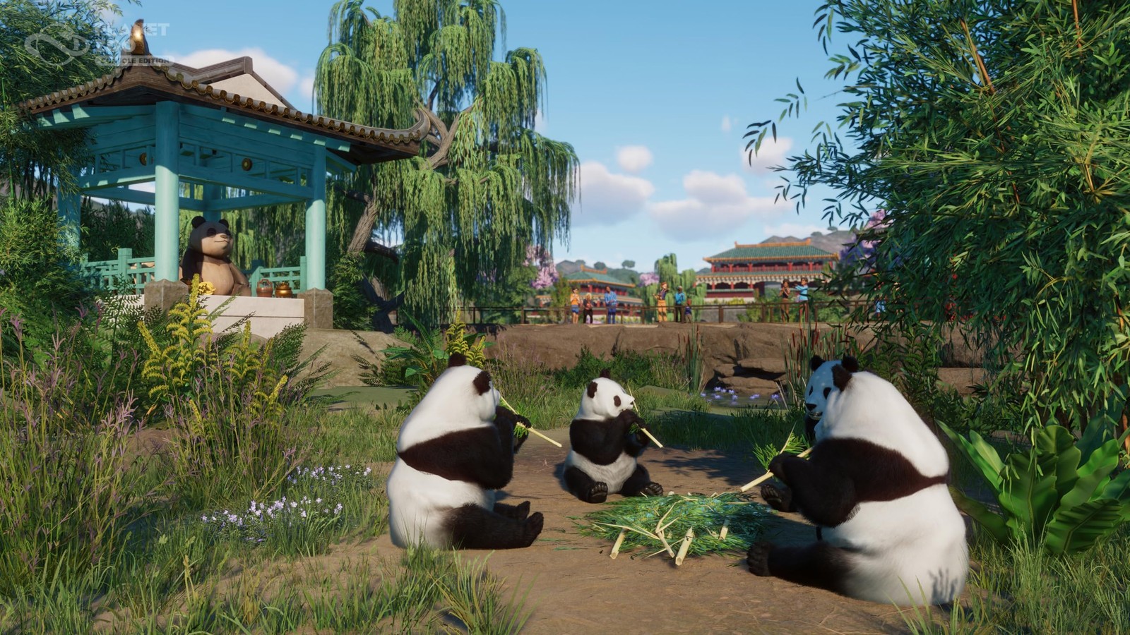 Planet Zoo: Console Edition – PlayStation 5 [video game]