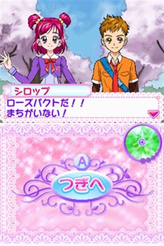 Precure NINTENDO DS NDS JP JAPAN PRECURE 5GOGO