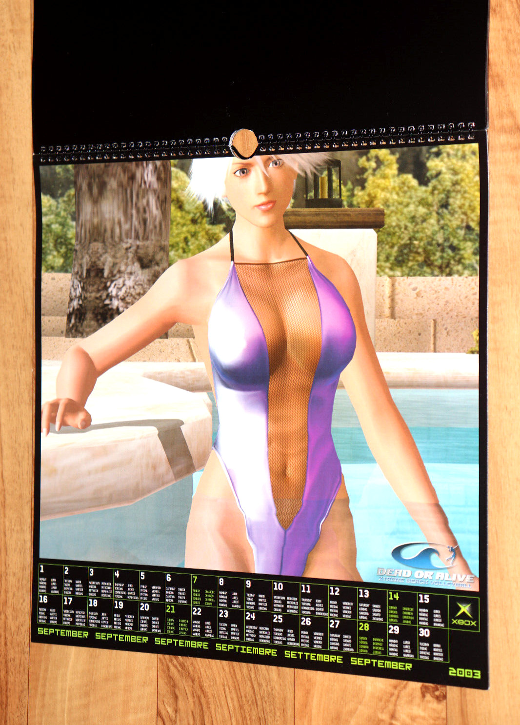 2003 Dead or Alive Xtreme Beach Volleyball Very Rare Calendar Collectible