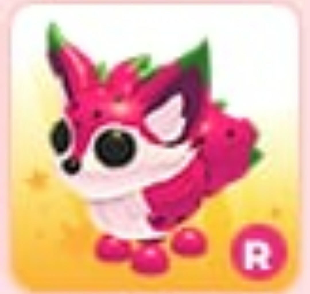 Dragonfruit Fox | Adopt Now