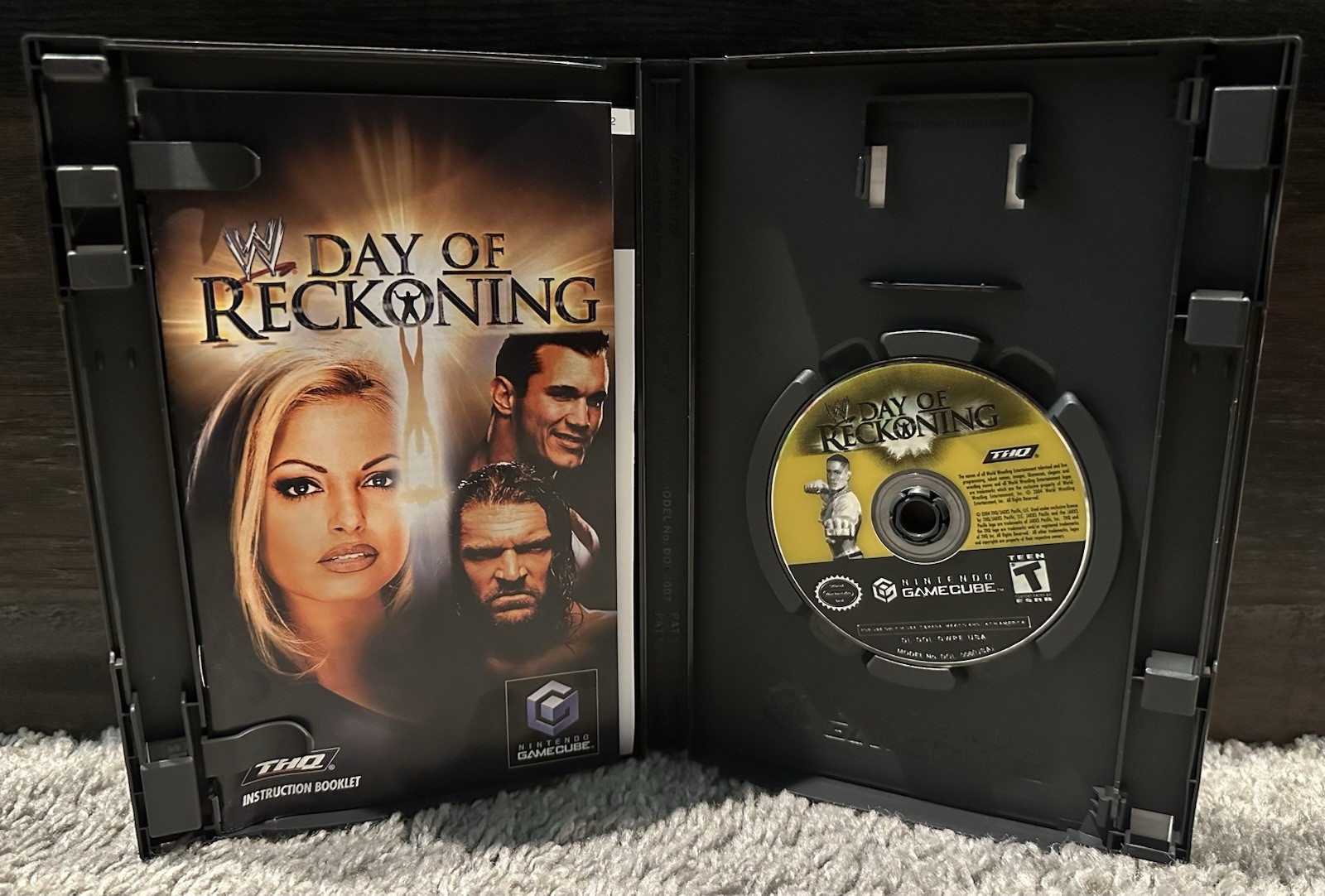 WWE: Day of Reckoning (Nintendo GameCube, 2004) Complete With Manual & Insert