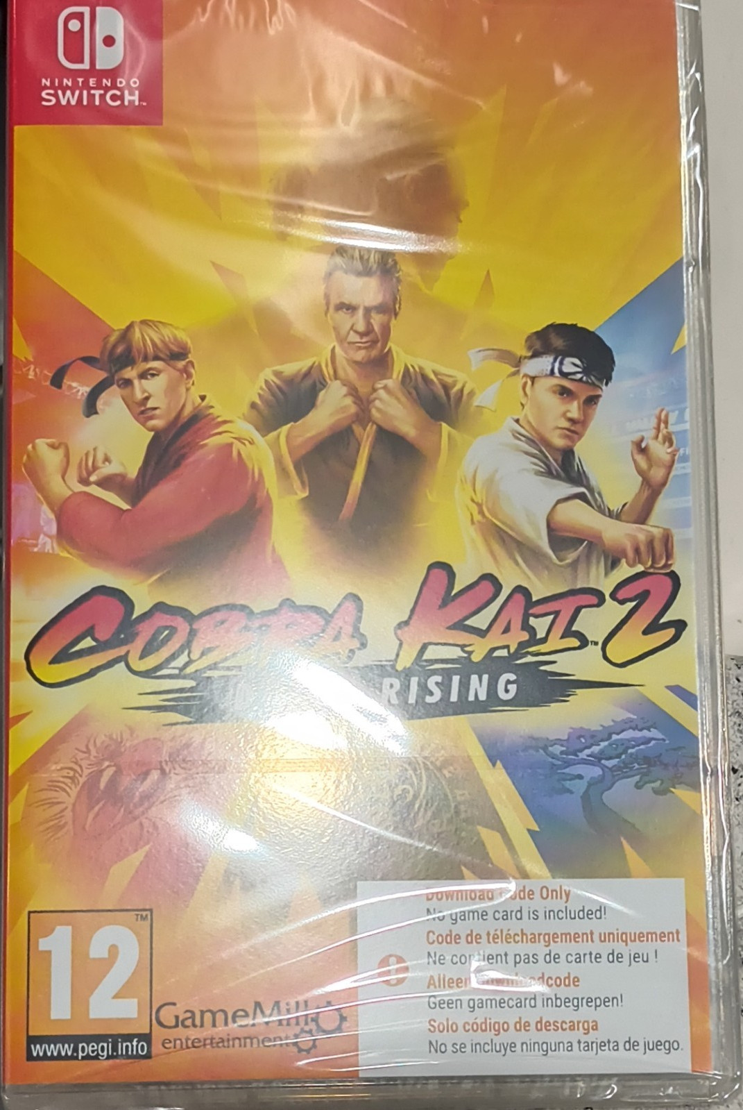 GameMill Cobra Kai 2: Dojos Rising Nintendo Switch Multiplayer Action PAL 12