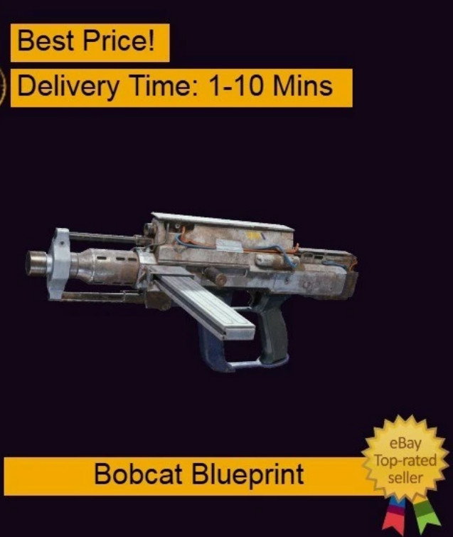Bobcat Blueprint