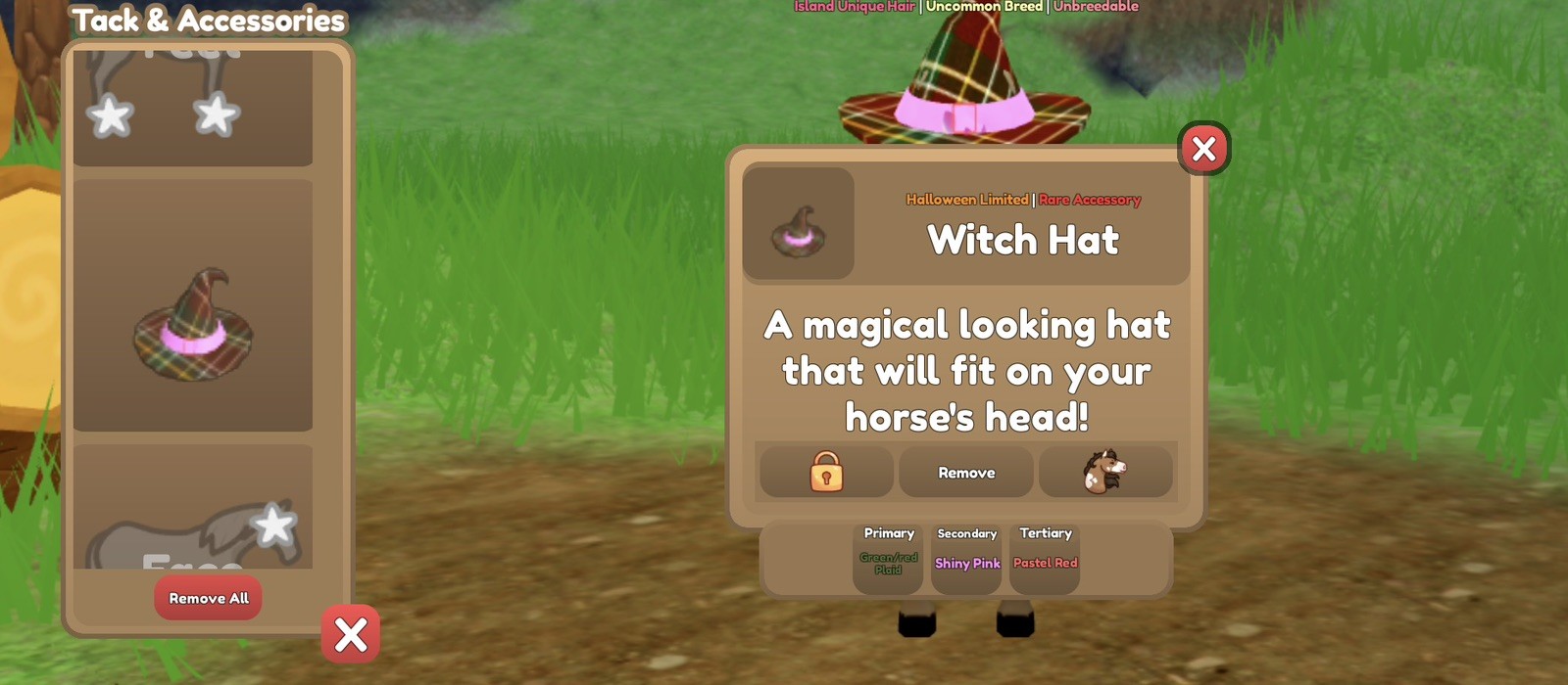 Wild Horse Islands Witch Hats | Please Read Description