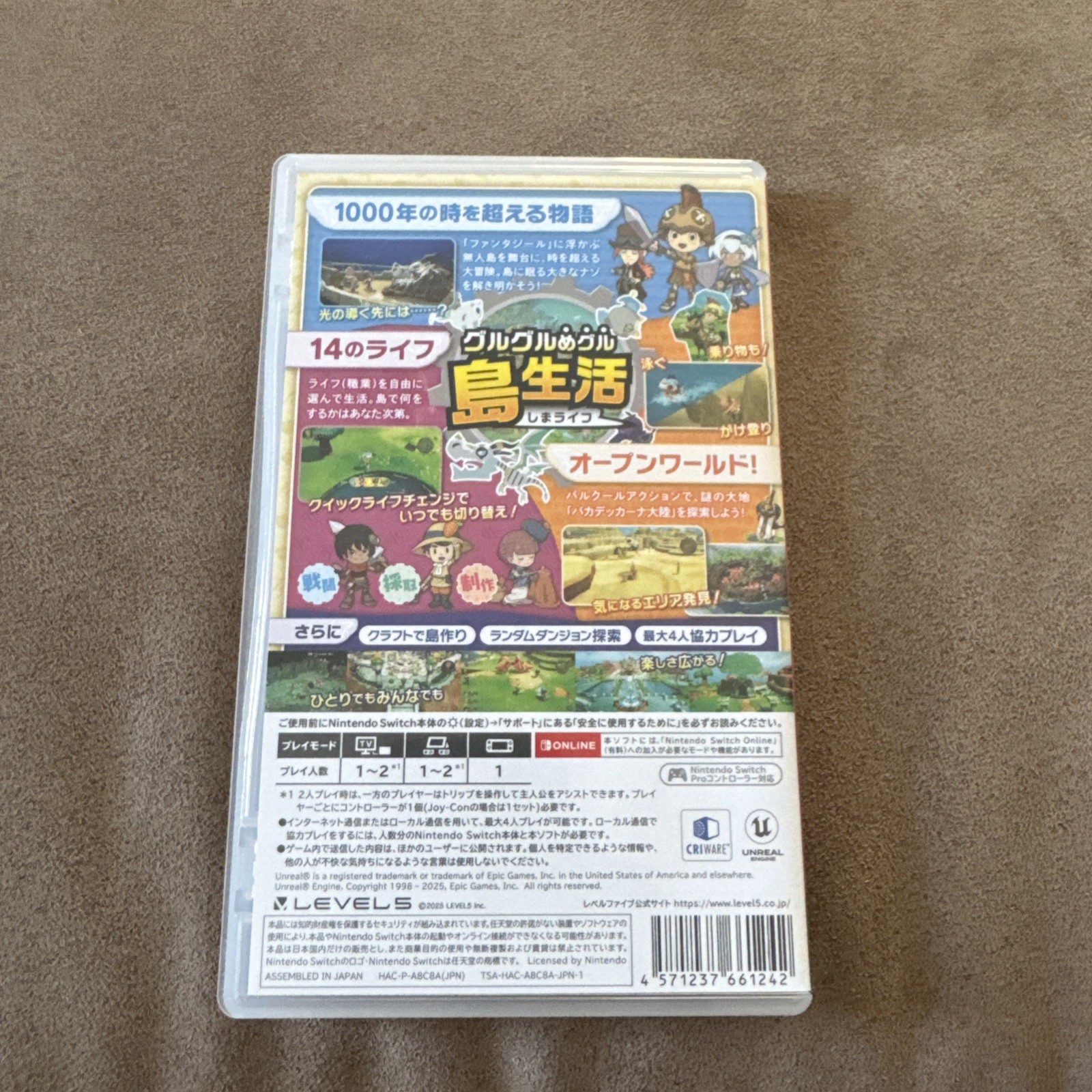 Fantasy Life i: The Girl Who Steals Time for Nintendo Switch (Multi Language)