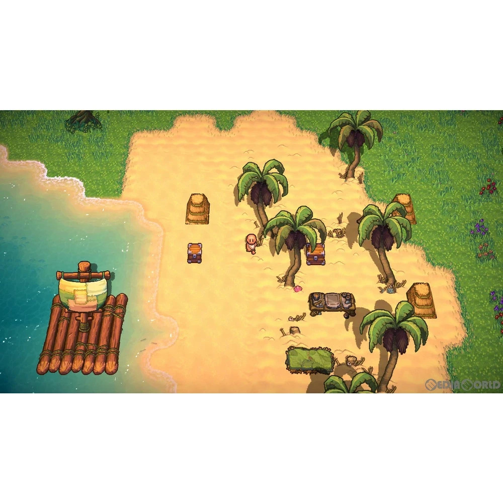SW The Survivalists Nintendo Switch Game Source Entertainment Shipping from JP