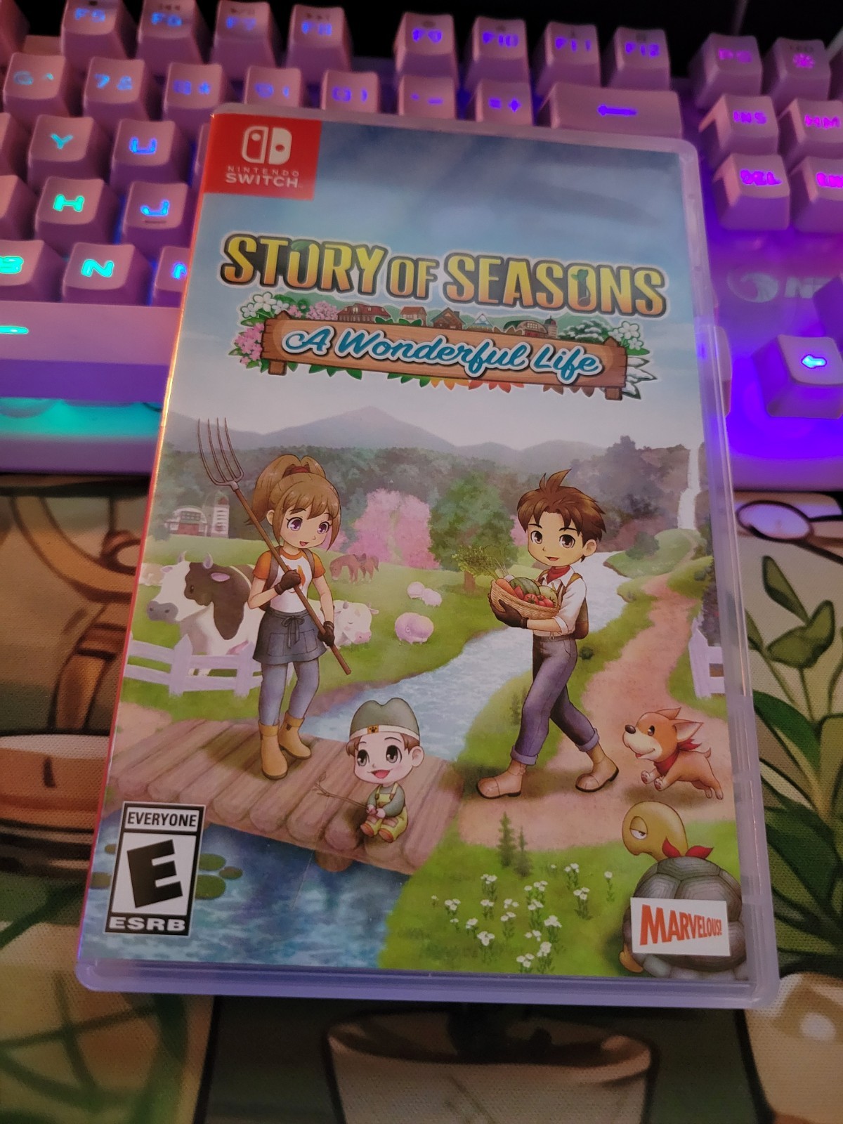 Story of Seasons: A Wonderful Life – Nintendo Switch