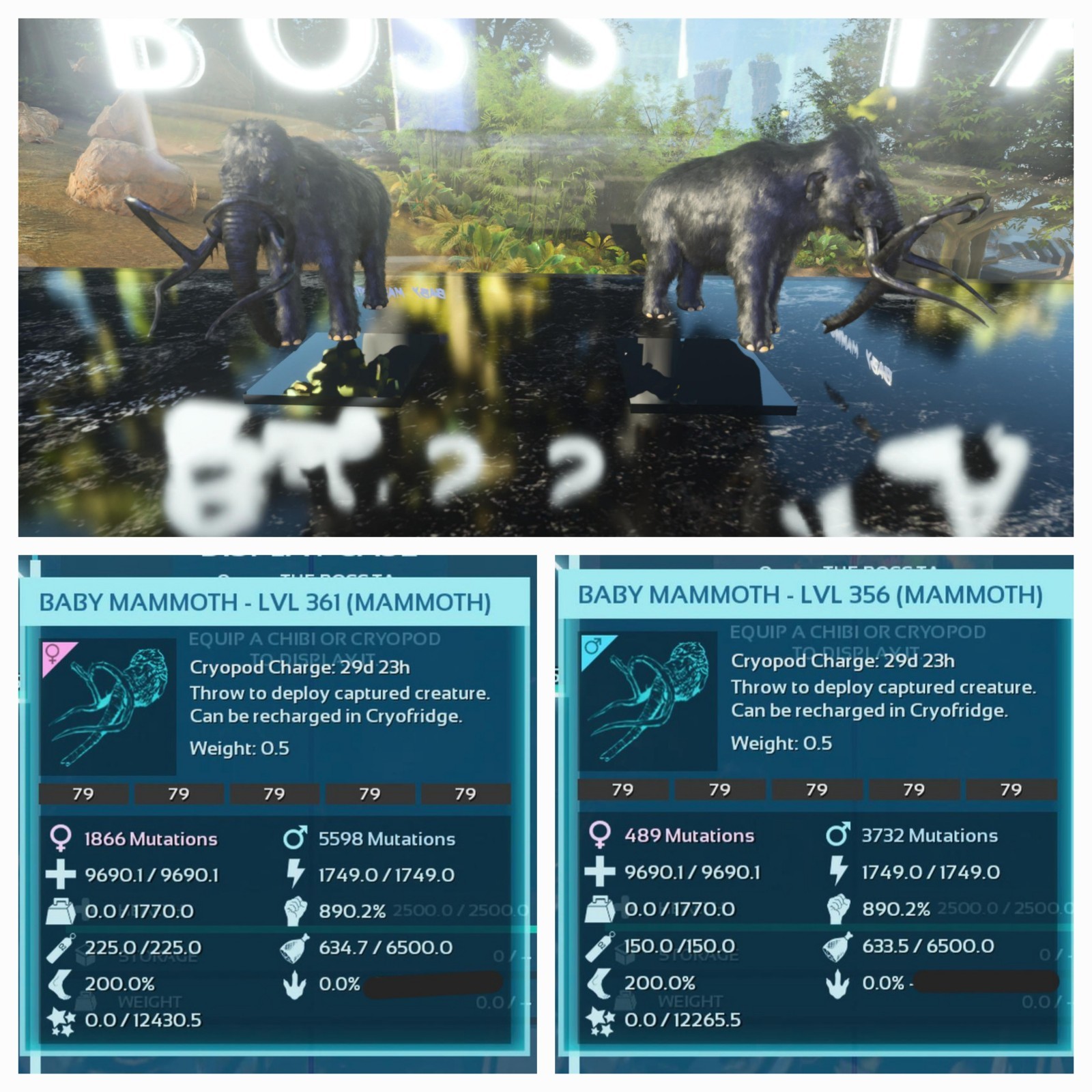 ARK ASCENDED PVE OFFICIAL PAIR BABY MAMMOTH BLACK ID 79 TOP STATUS PC/XBOX/PS5