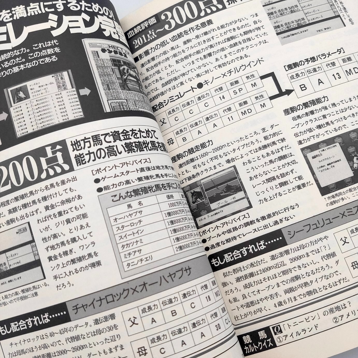 Thoroughbred Breeder 2 A book to play 100 times Guide Nintendo Super Famicom SFC