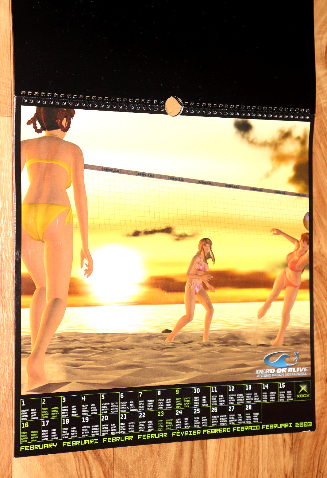 2003 Dead or Alive Xtreme Beach Volleyball Very Rare Calendar Collectible