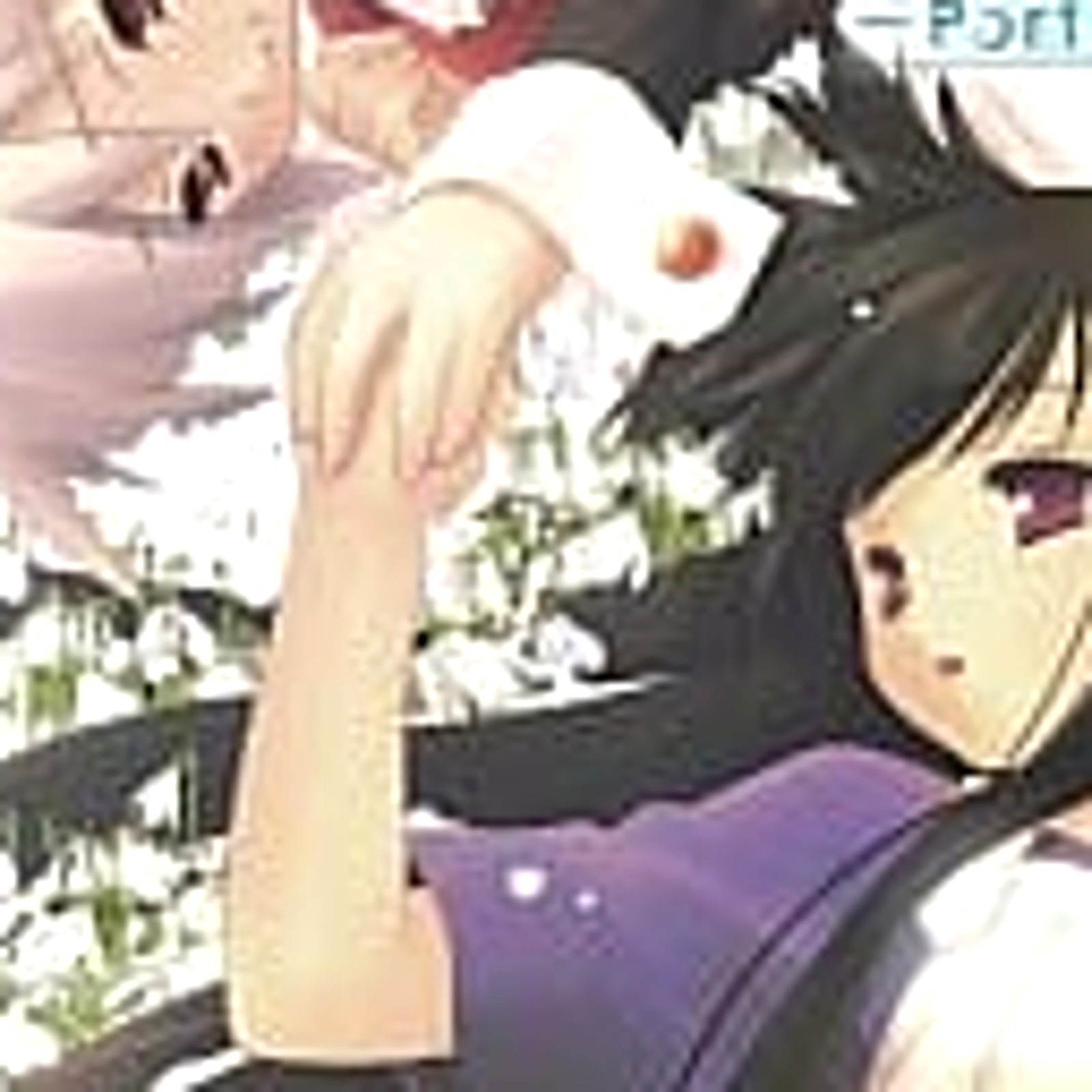 Suigetsu Portable Best Ver. PlayStation Portable PSP NTSC-J CIB