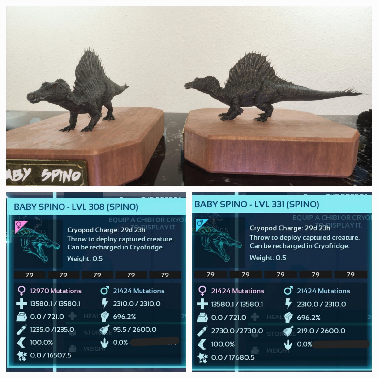 ARK ASCENDED PVE OFICIAL PAIR BABY SPINO BLACK ID79 TOP STATUS PC/XBOX/PS5