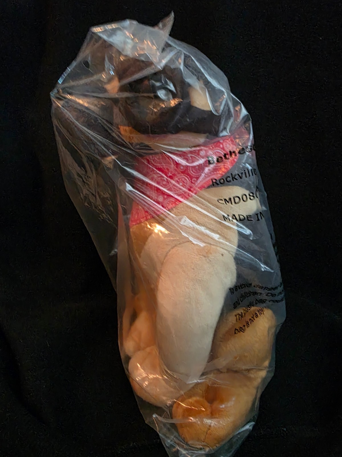 Fallout 4 Dogmeat Plush – Loot Crate Exclusive (NEW Sealed)