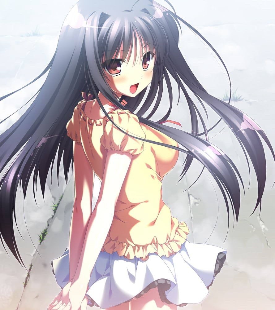 Natsuzora no Perseus Deluxe Edition PC Game Japanese PC Game Windows7/8 New