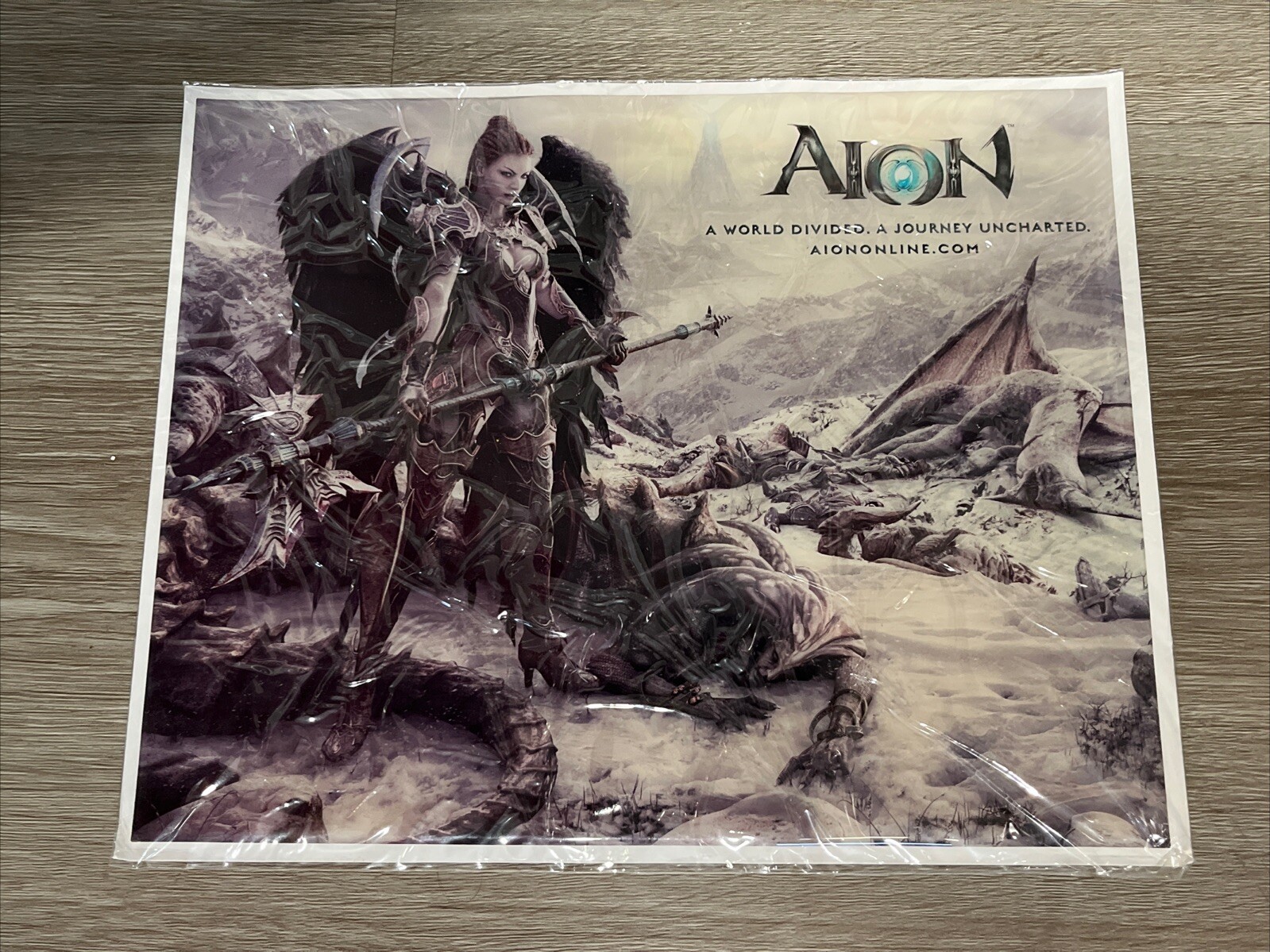 Aion A World Divided A Journey Uncharted Promotional Picture Portrait 10”x 8.25”