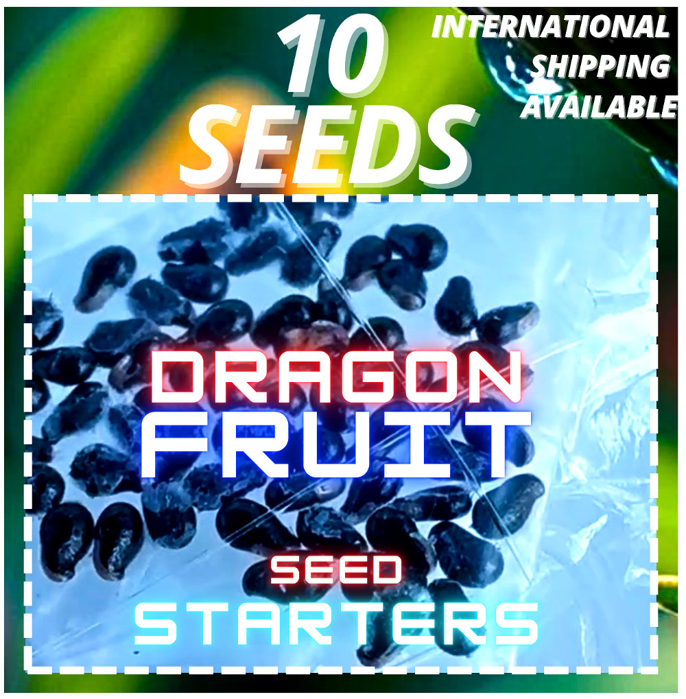 Coco 3 Dragon Fruit STARTER
