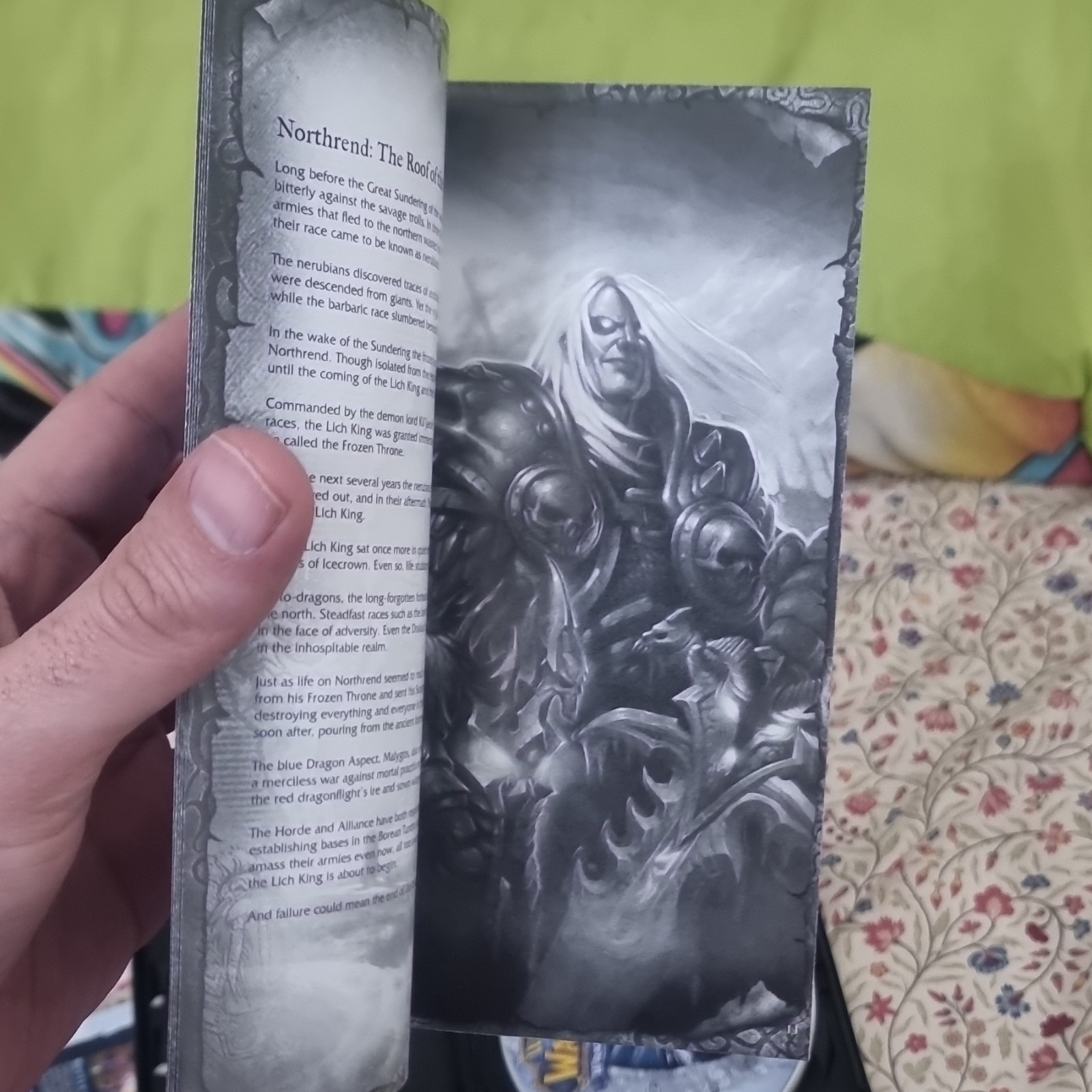 Blizzard Entertainment World of Warcraft: Wrath of the Lich King PC