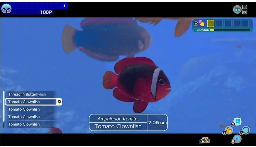 Endless Ocean Luminous Nintendo Switch | Explore 500+ Sea Creatures | New