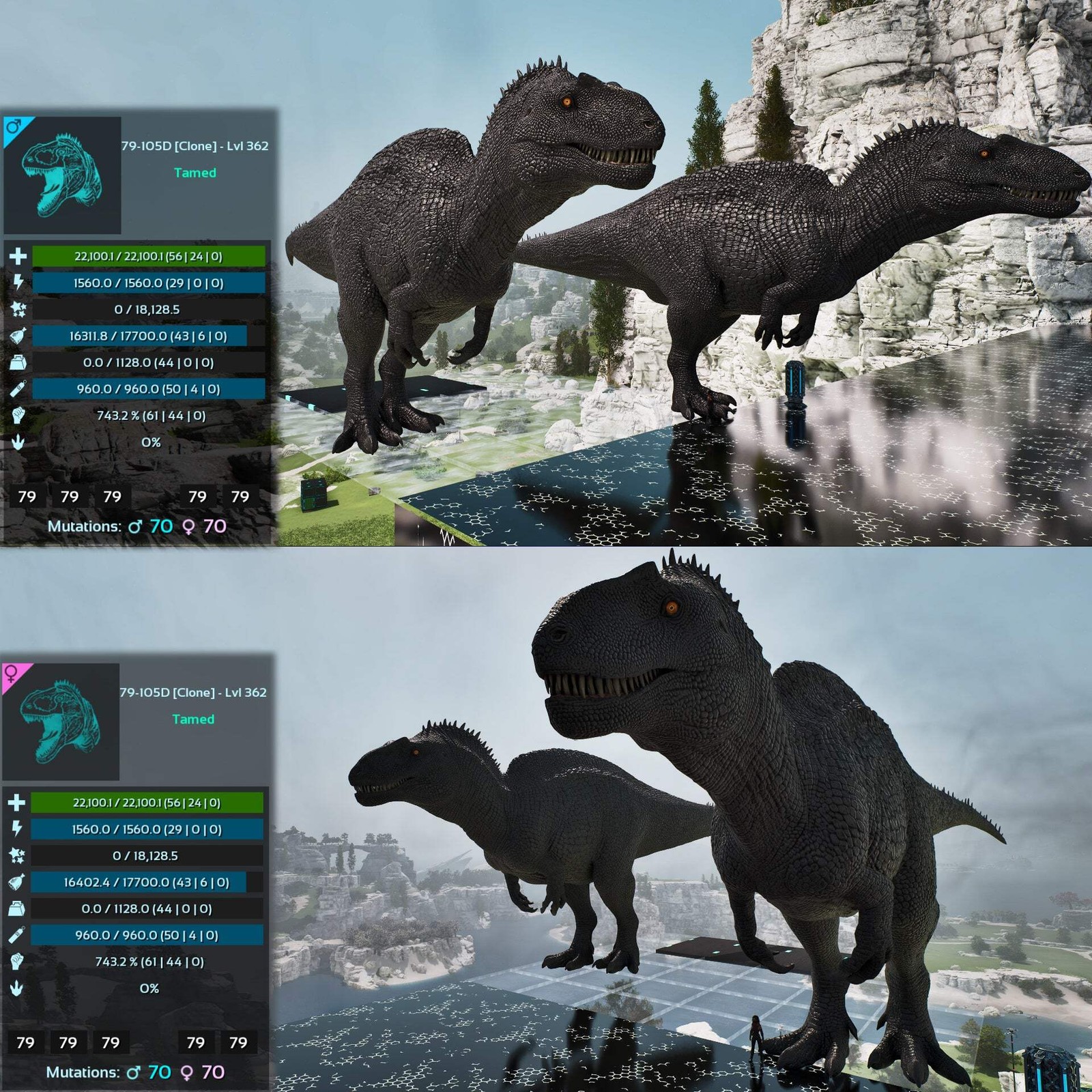 Acro Acrocanthosaurus 362-363Lvl Clone ASA PVE 🦖ARK Survival Ascended