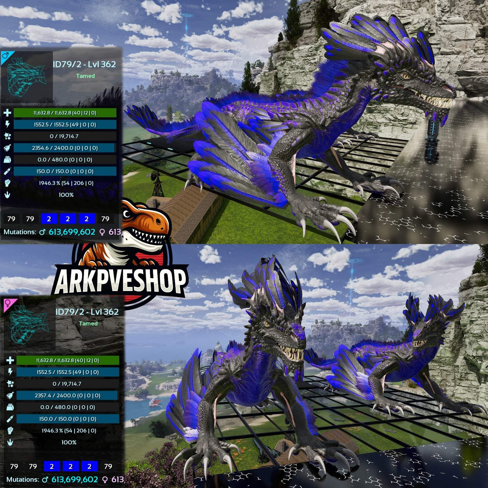 Rock Drake 1946% melee Mix Colours Top Stats ASA PVE 🦖ARK Survival Ascended