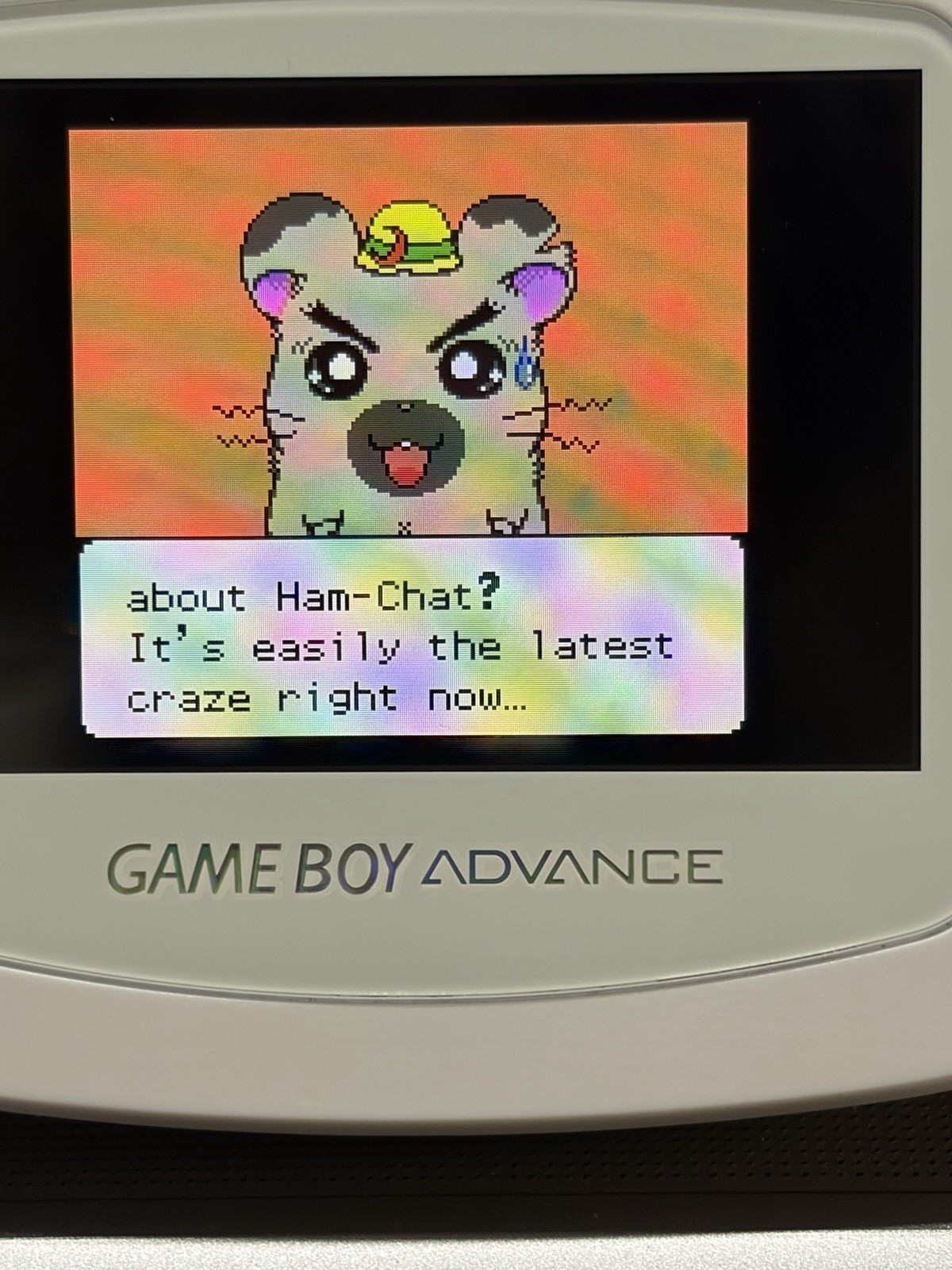 Hamtaro: Ham-Hams Unite (Nintendo Game Boy Color-GBC-TESTED-NEW BATTERY-NICE!!
