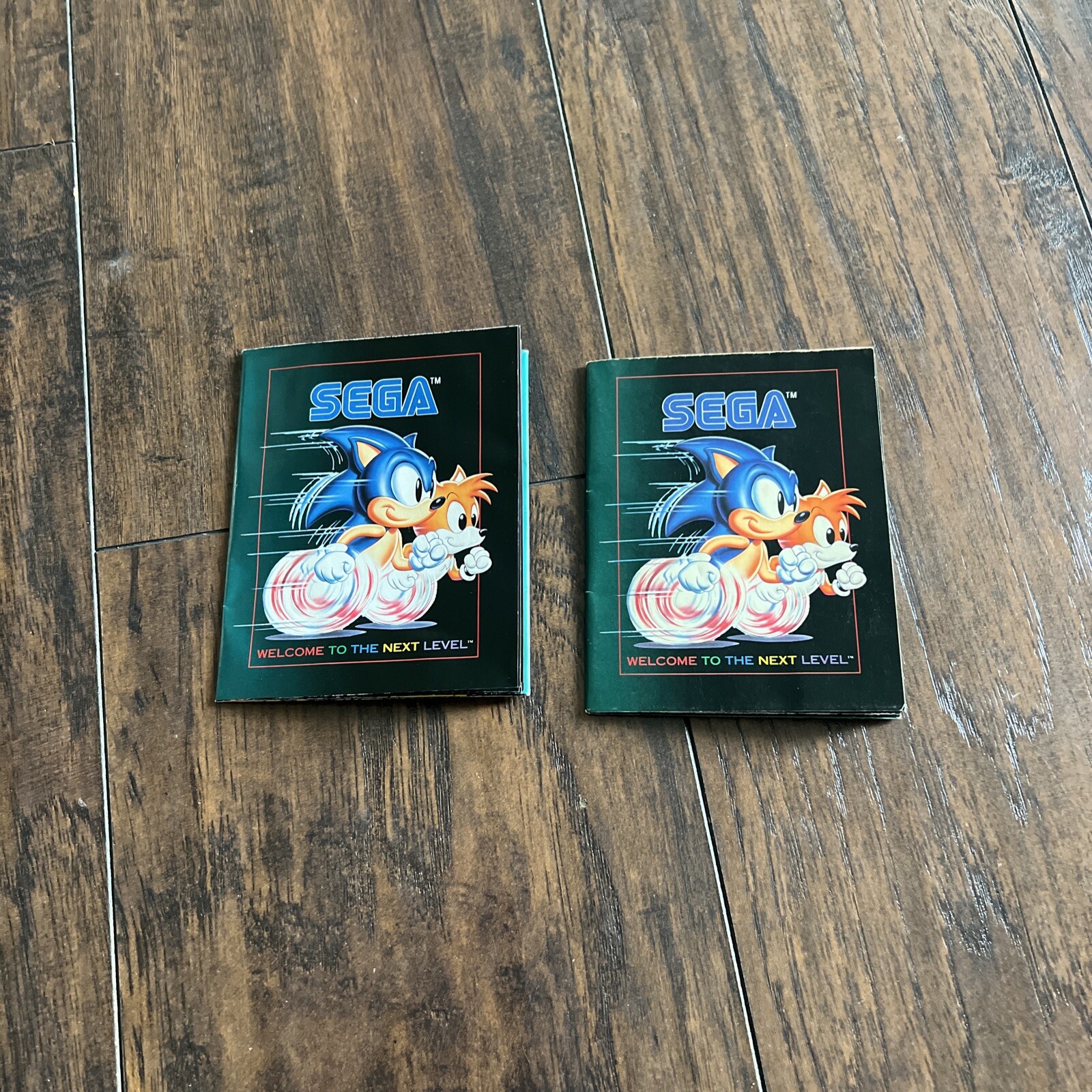 2 Jurassic Park Sega Genesis / Game Gear 1993 Fold Out Insert Poster Both GUC