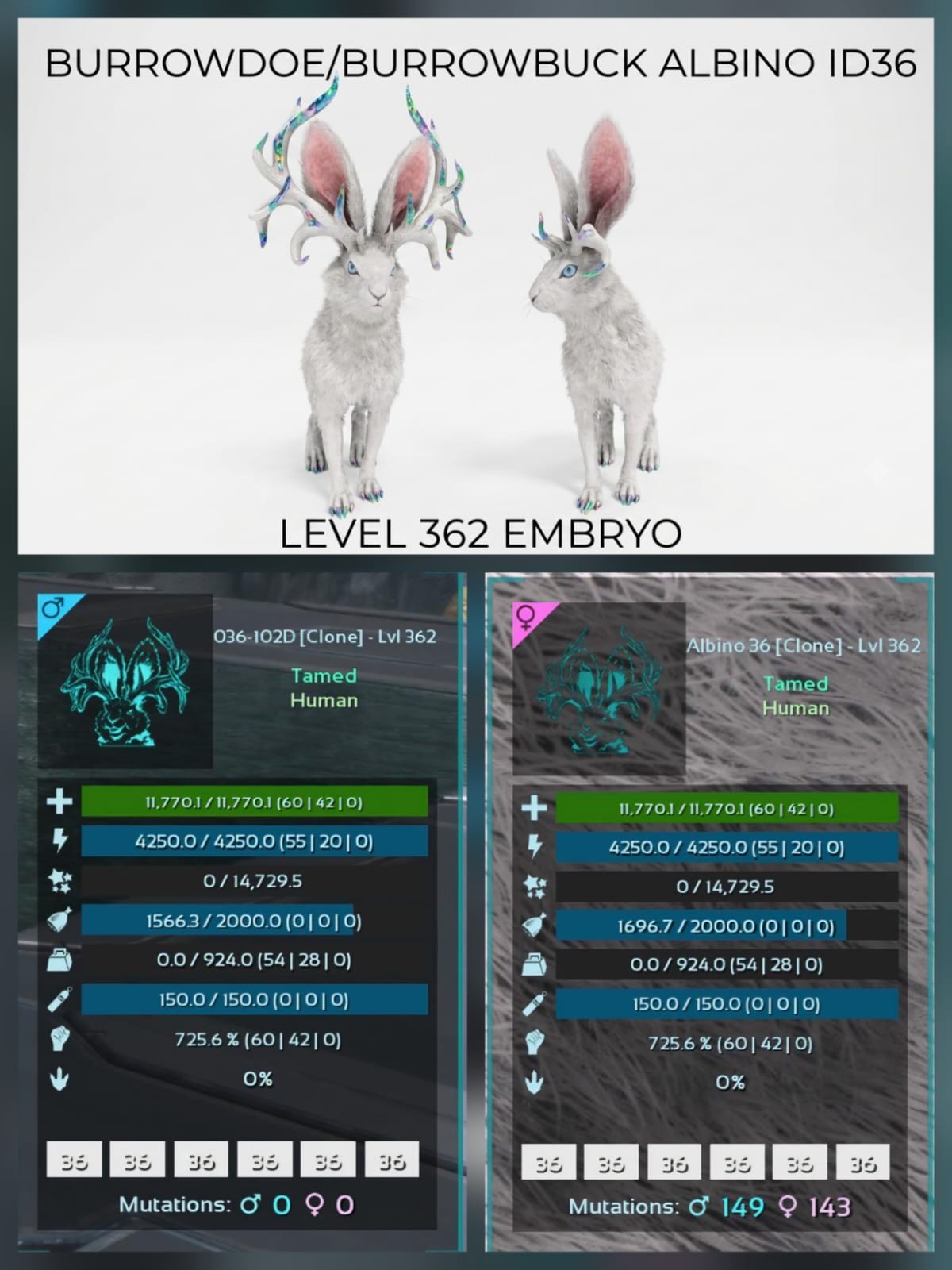 BURROBUCK BURRODOE Level 362 – Embryo Pair – Ark Ascended PVE Official Crossplay