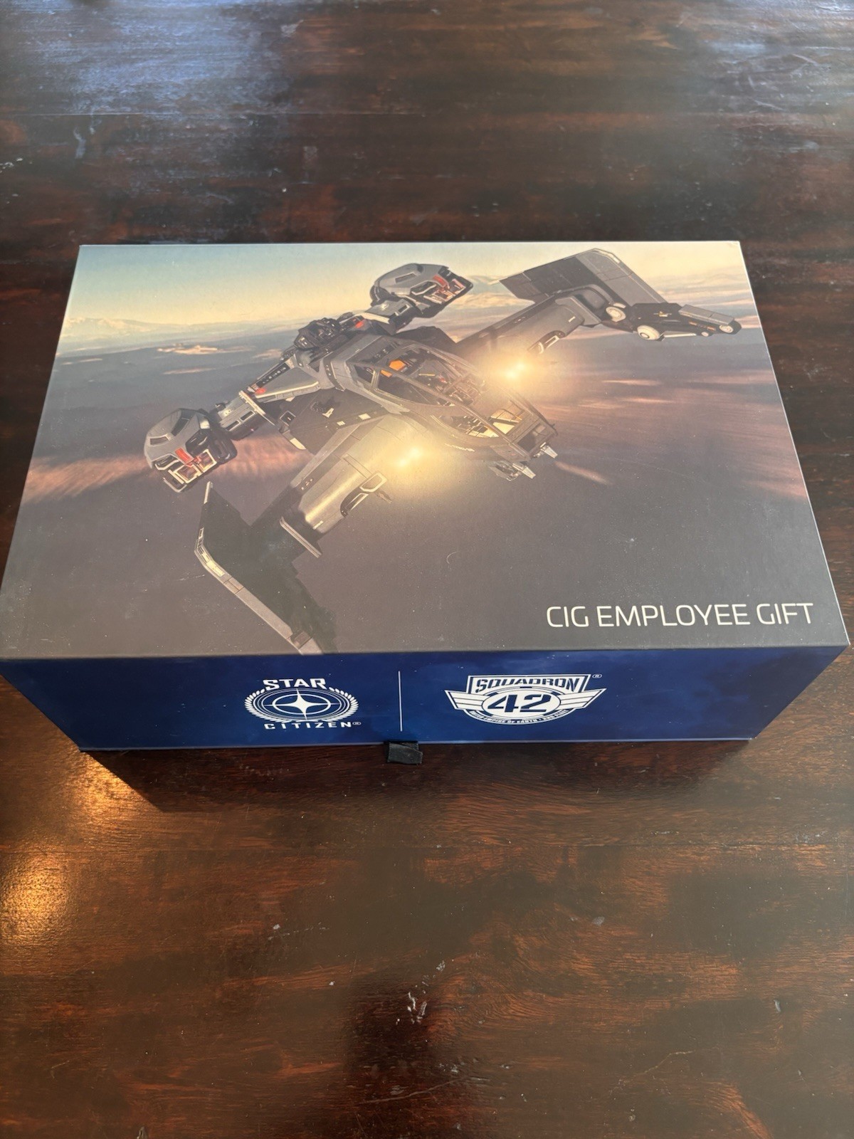 Star Citizen Drake Cutlass Black Model Ship