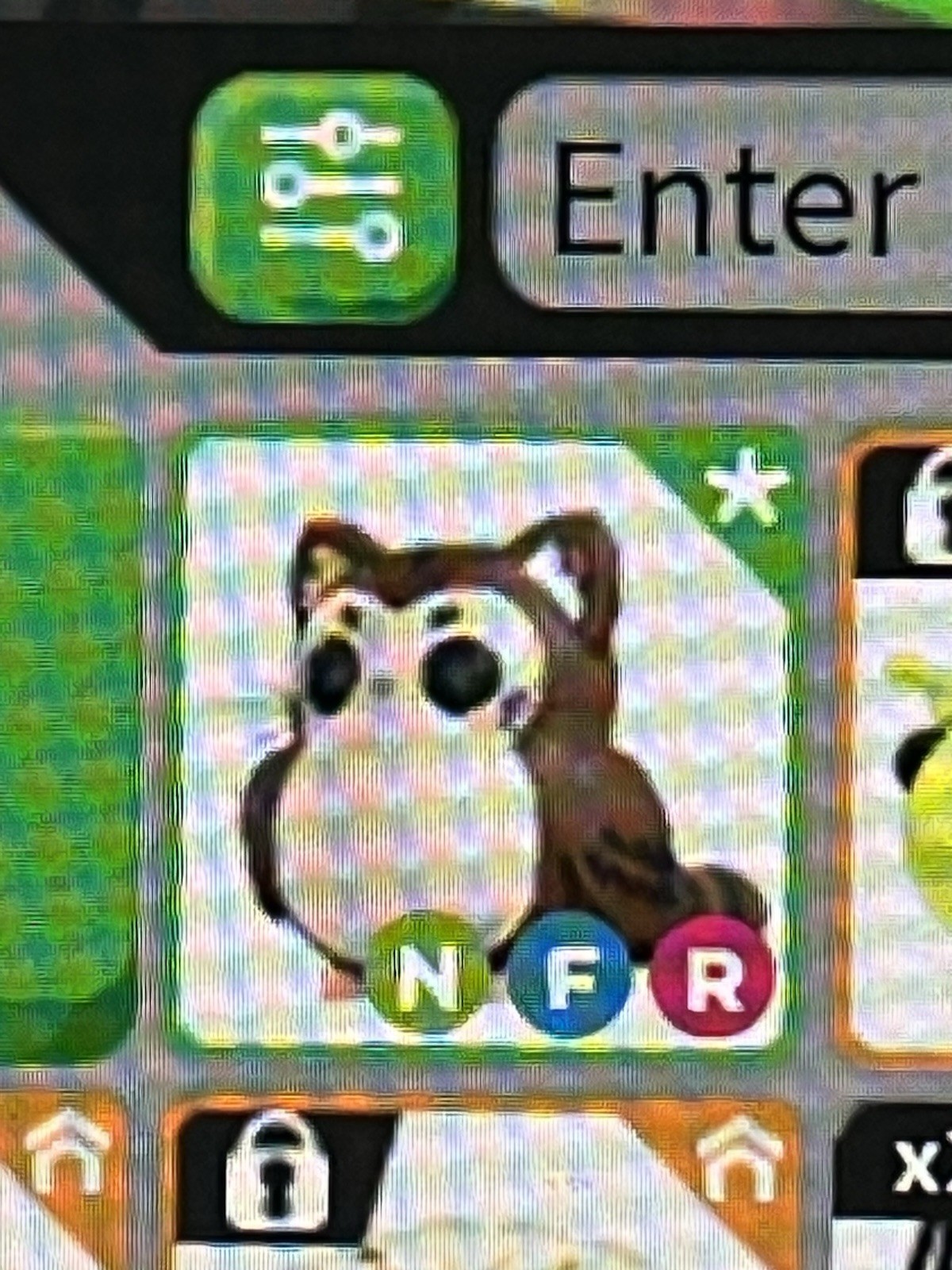 NFR neon PURROWL adopt me ROBLOX