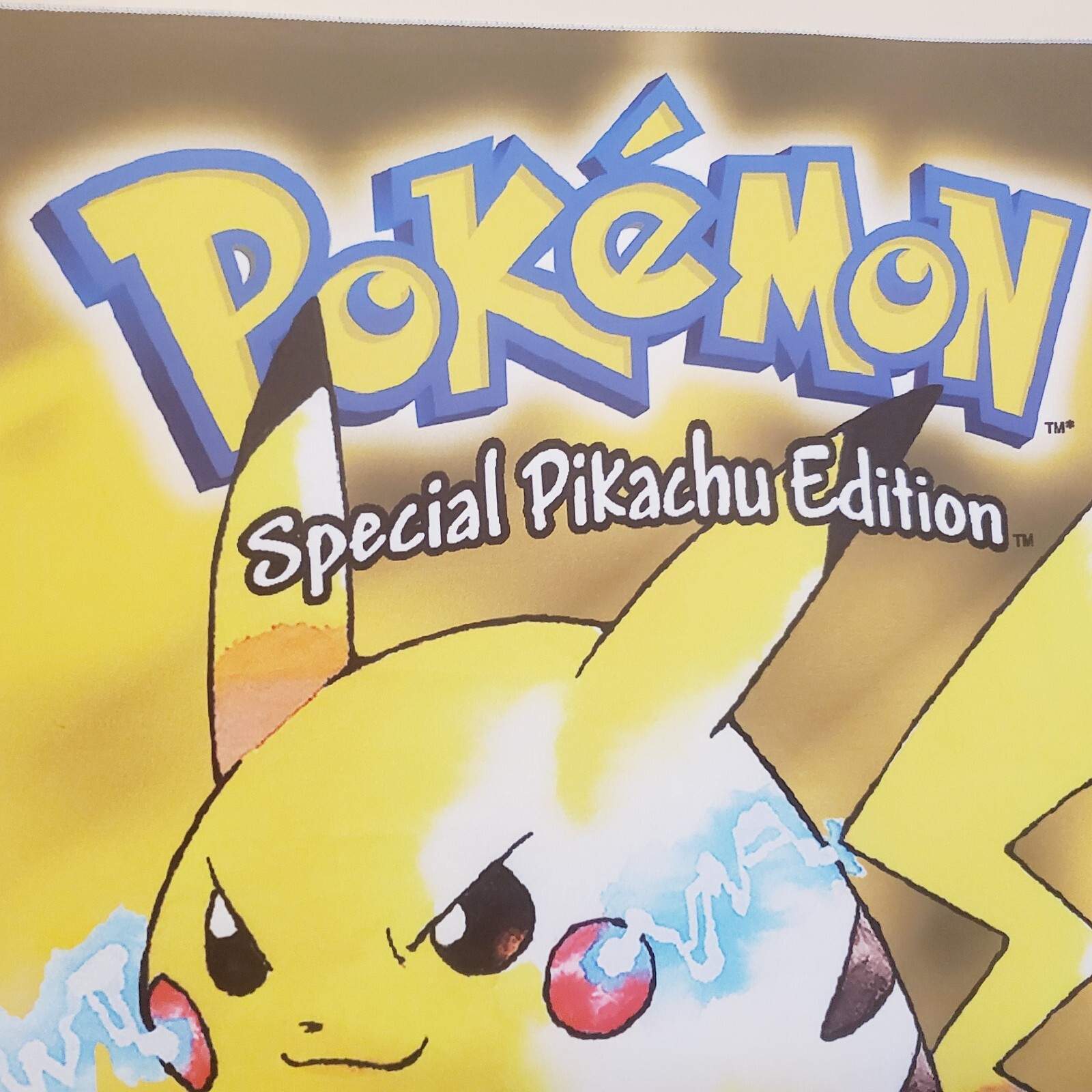 Pokémon Red Blue Yellow tapestry flag Gameboy box art covers Pikachu banner