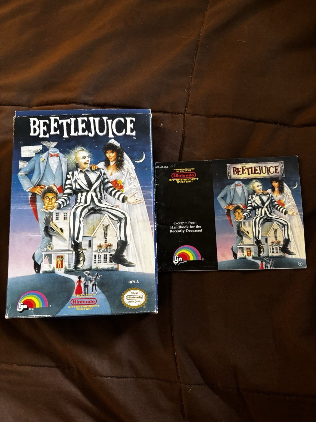 Beetlejuice Nintendo NES BOX AND MANUAL ONLY