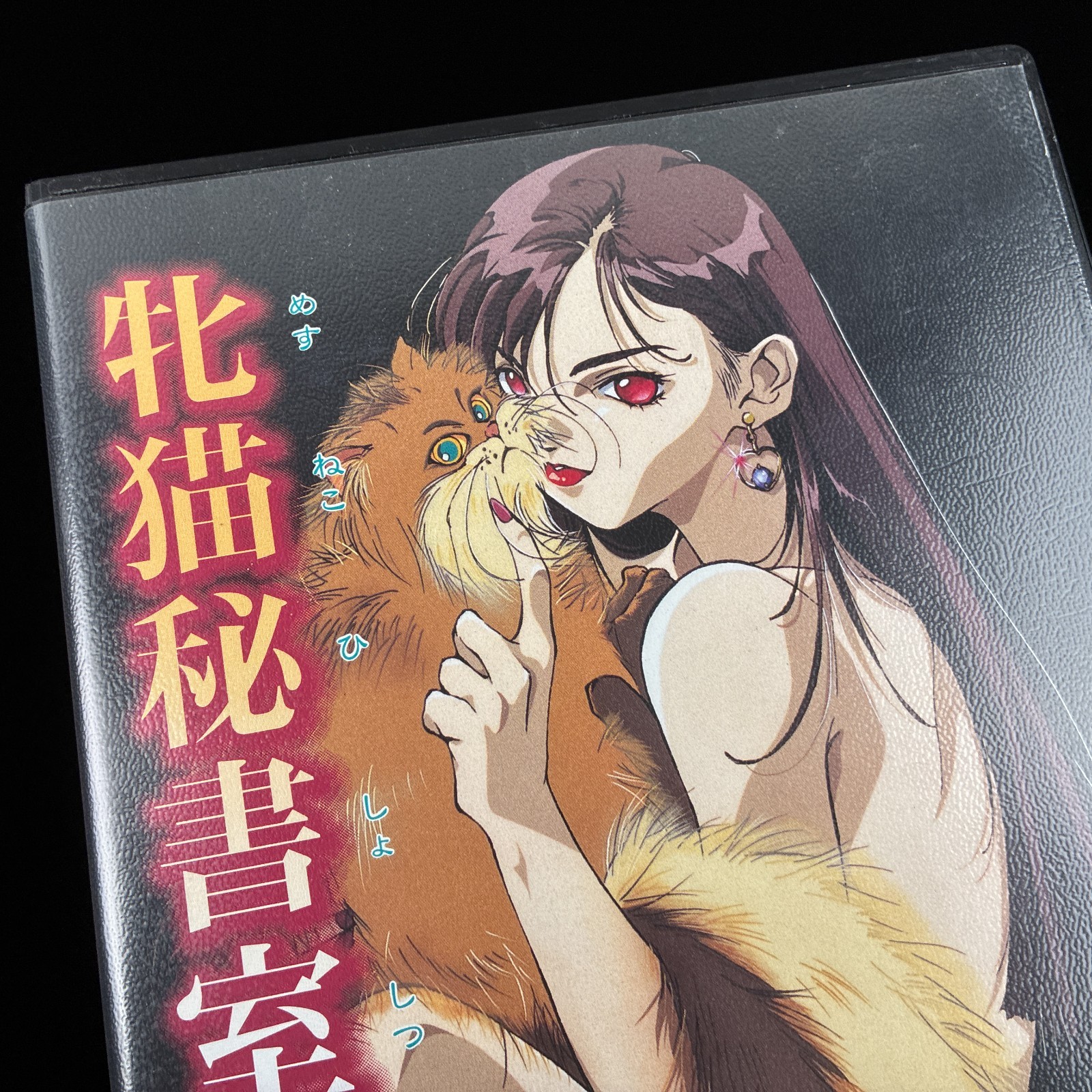 1995 Melody Mesuneko Hishoshitsu PC-9801 PC98 3.5″ VN Visual Novel Game Japan