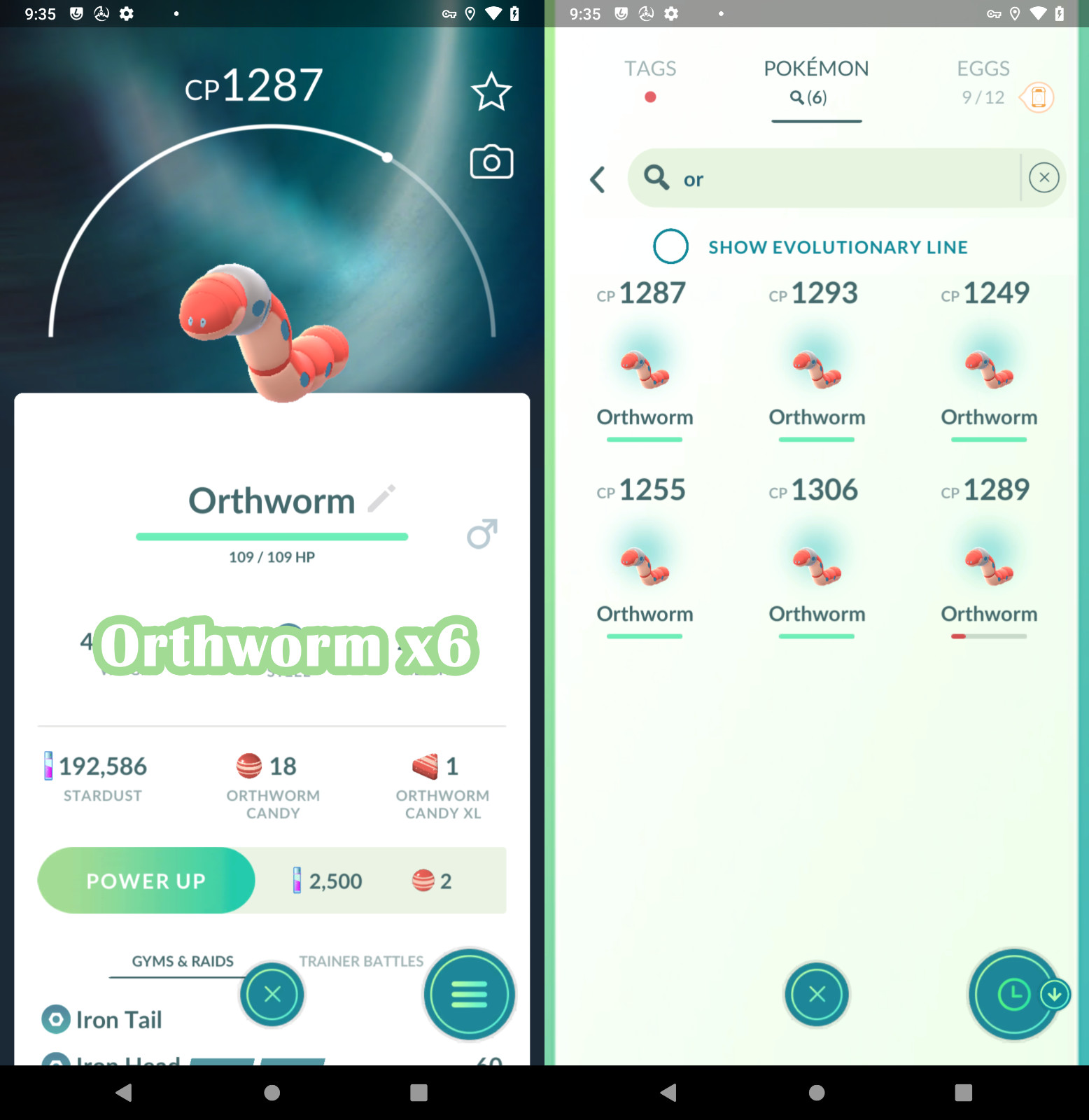 x6 Orthworm (Non shiny) | P—T—C